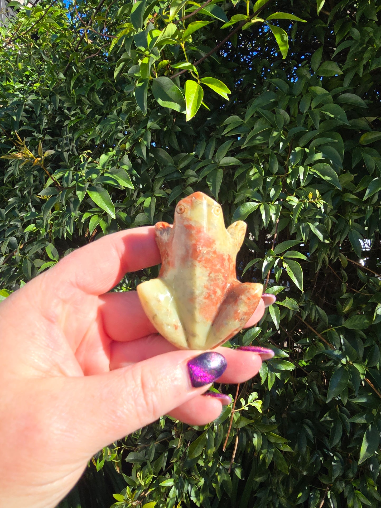 Soapstone Frog Large