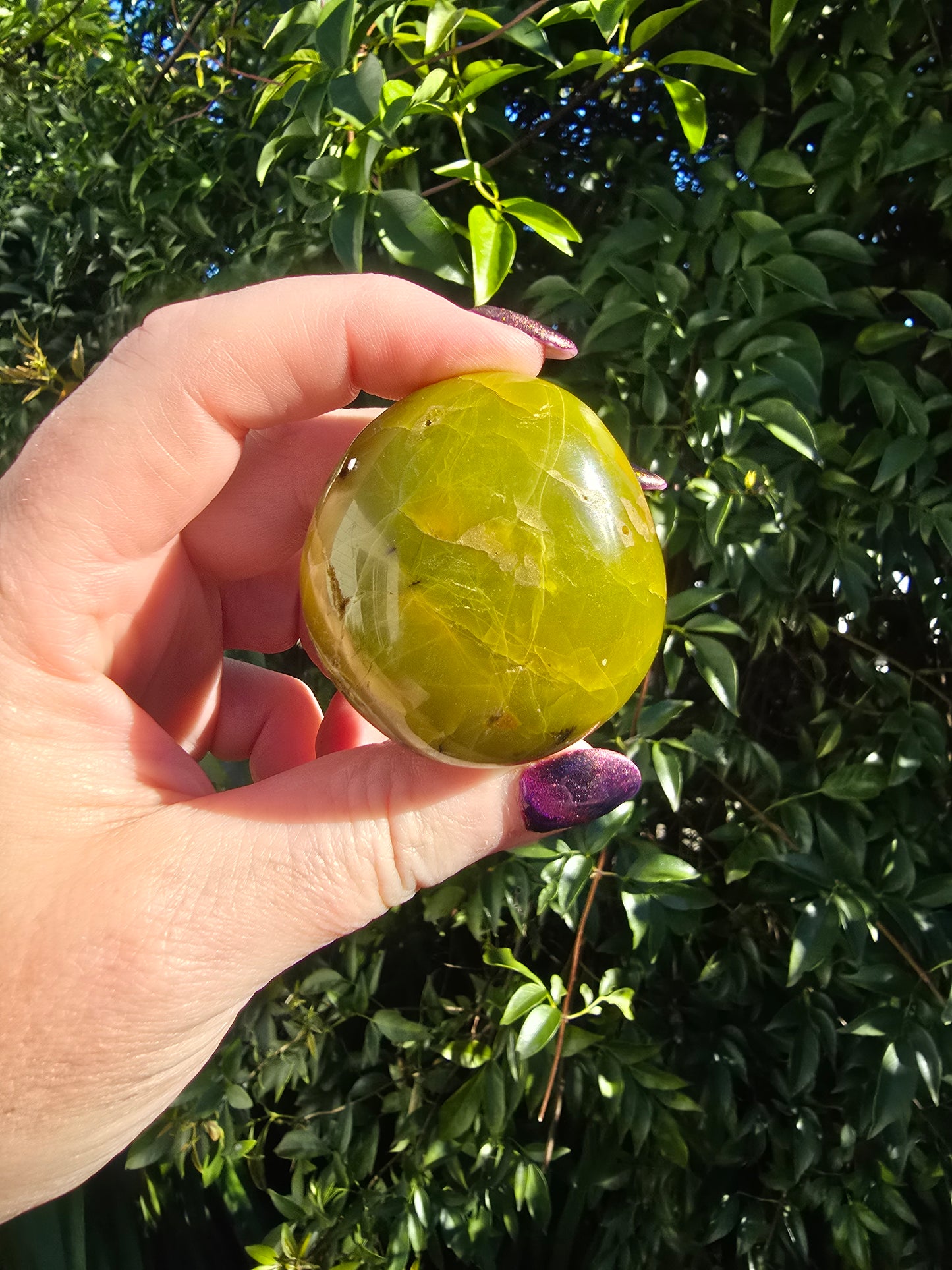 Green Opal Palm Stone E