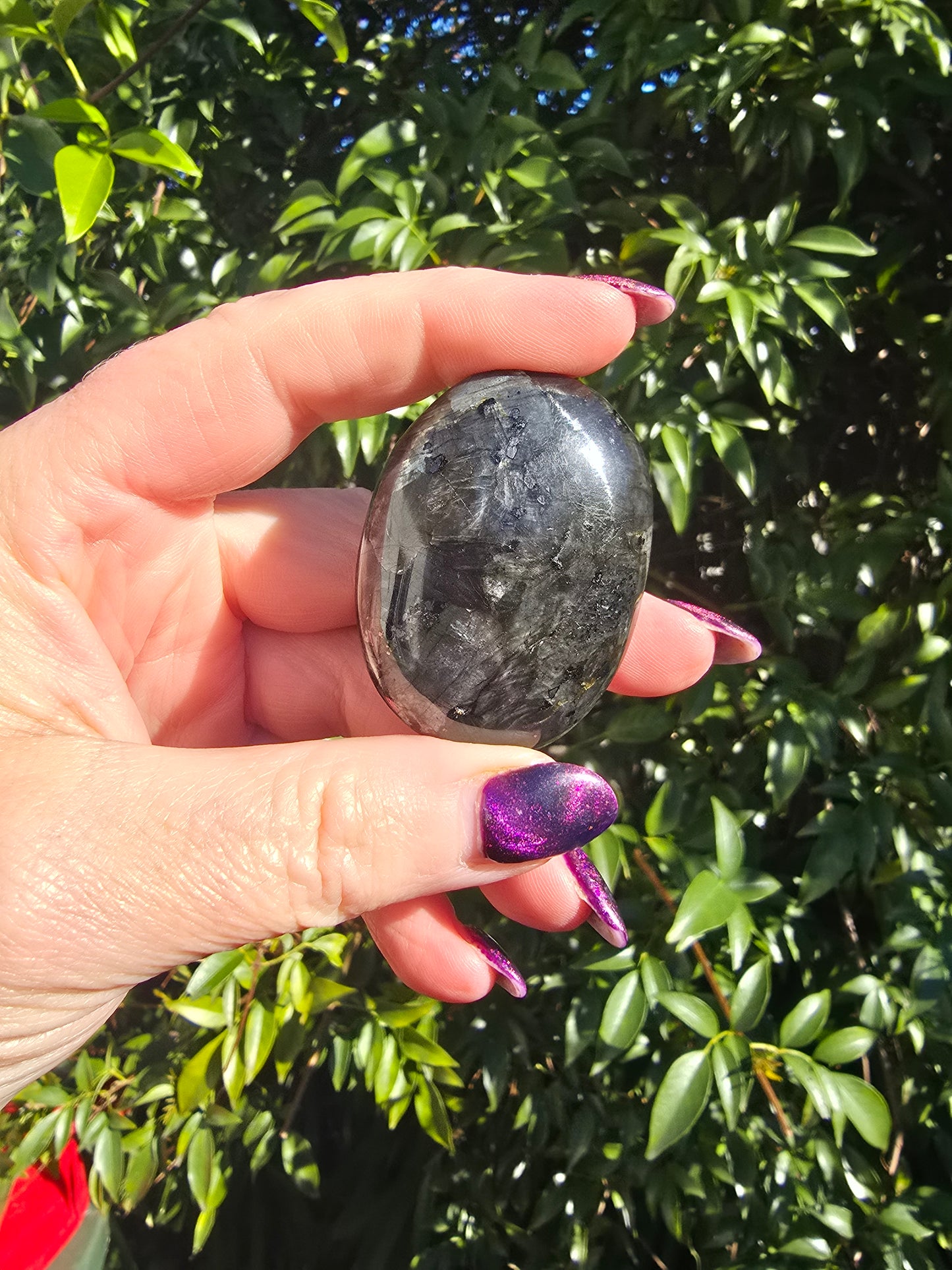 Black Larvikite Palm Stone Medium