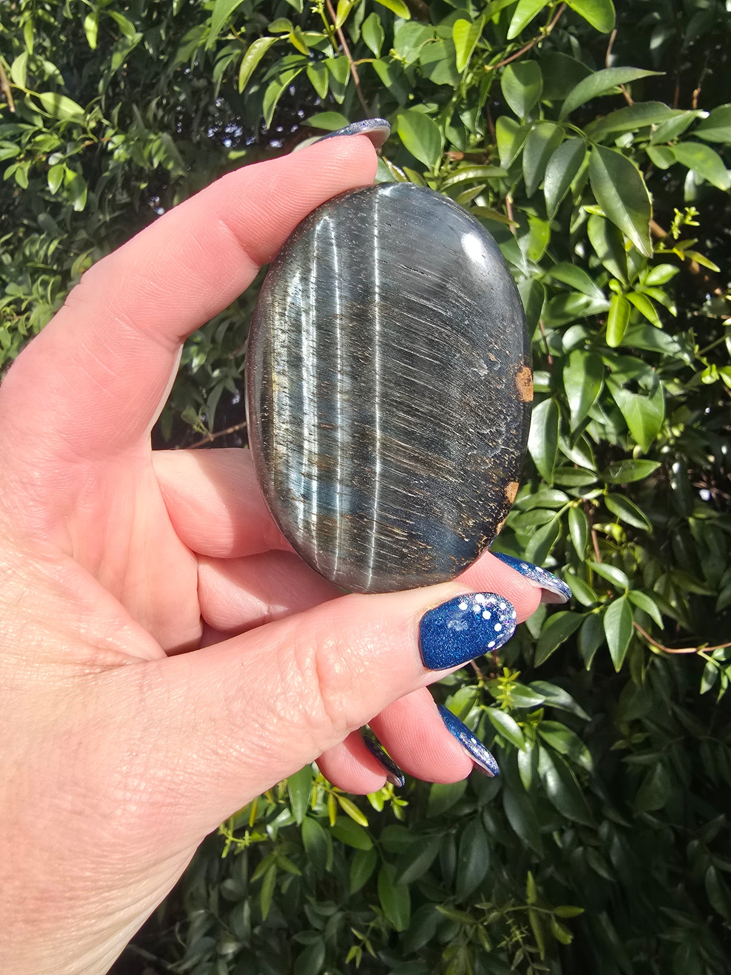 Blue Tigers Eye Palm Stone