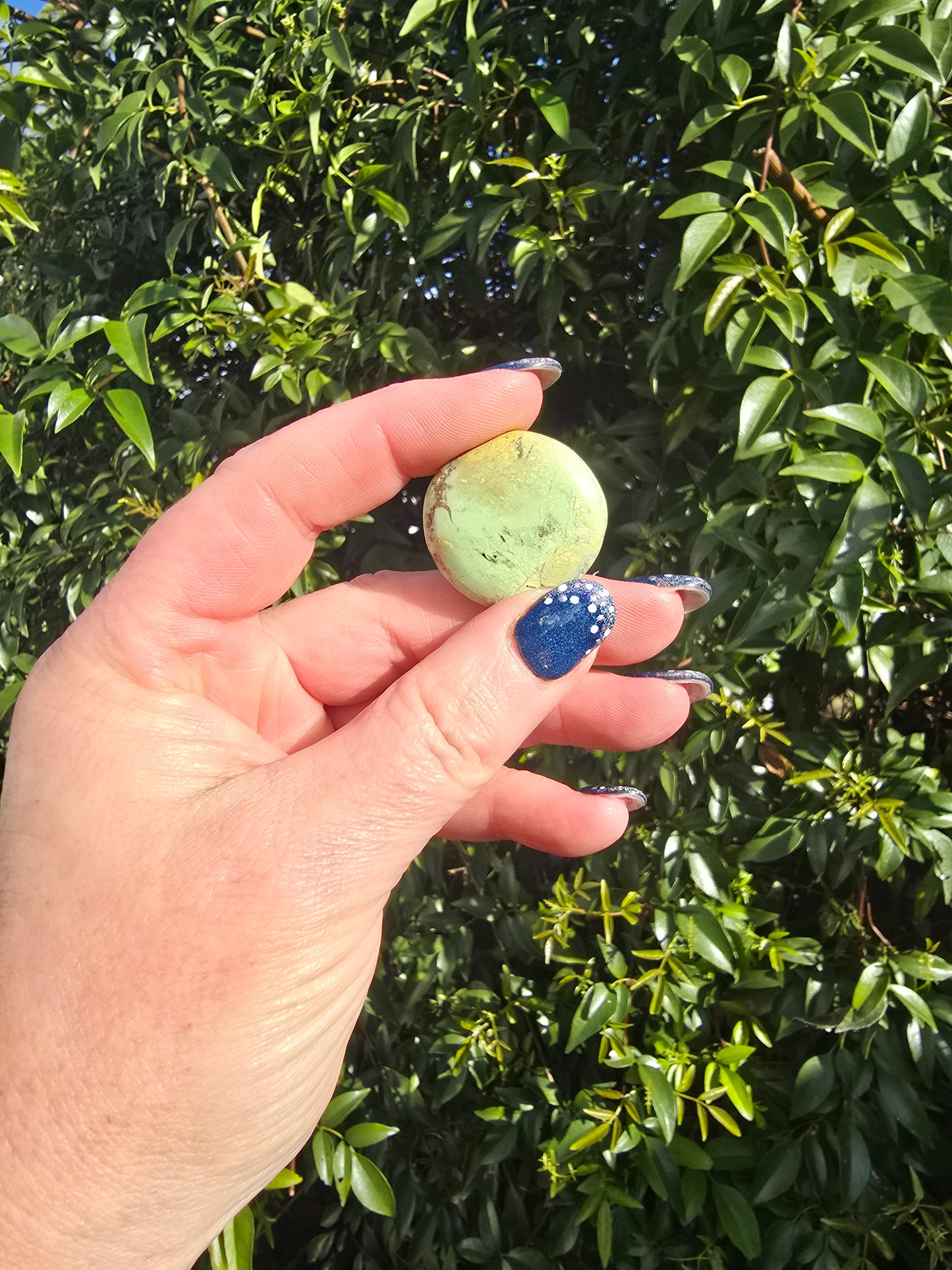 Lemon Chrysoprase Button