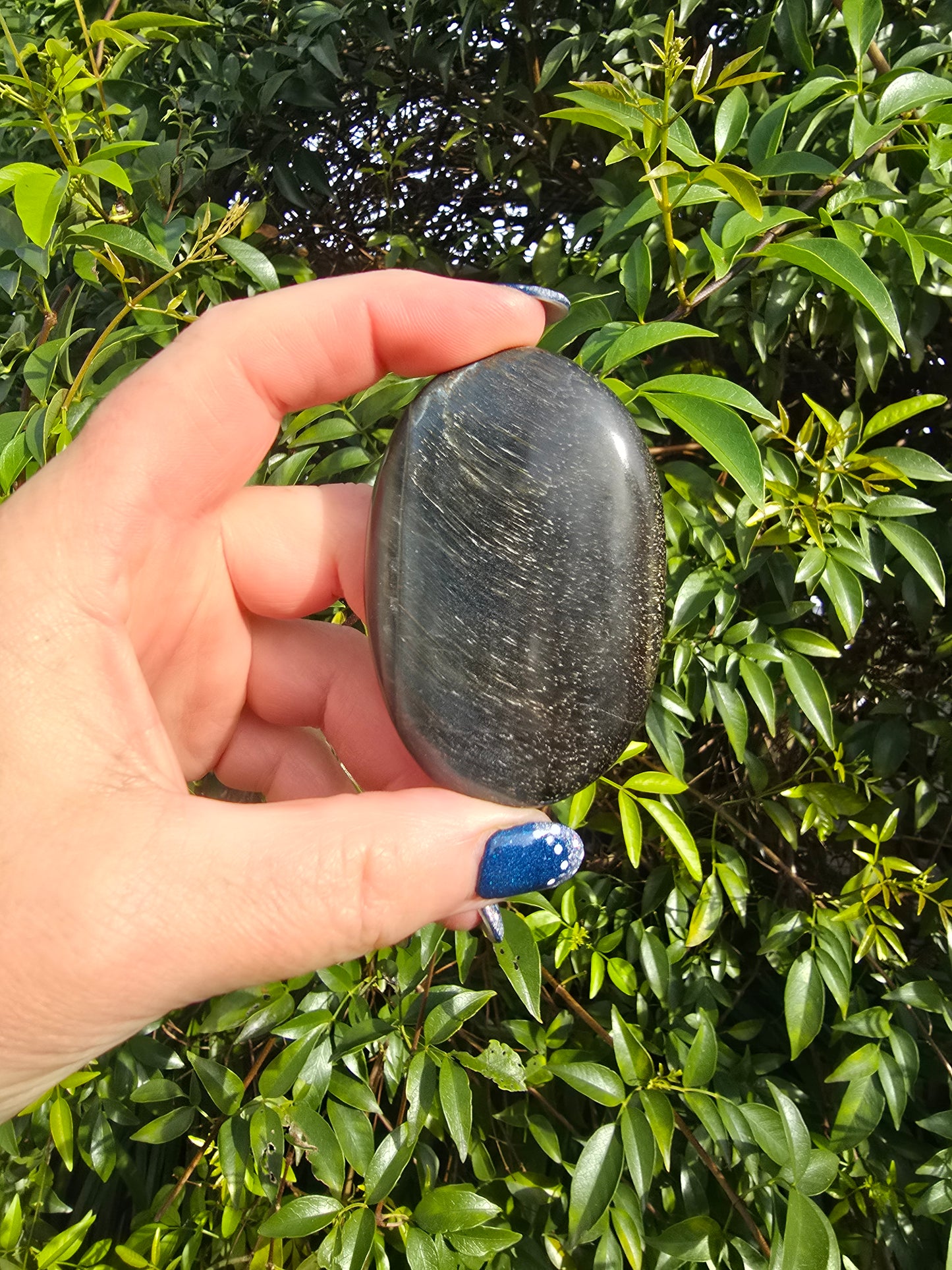 Blue Tigers Eye Palm Stone B
