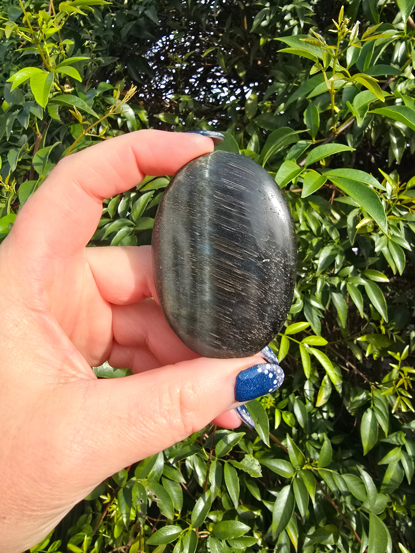 Blue Tigers Eye Palm Stone C