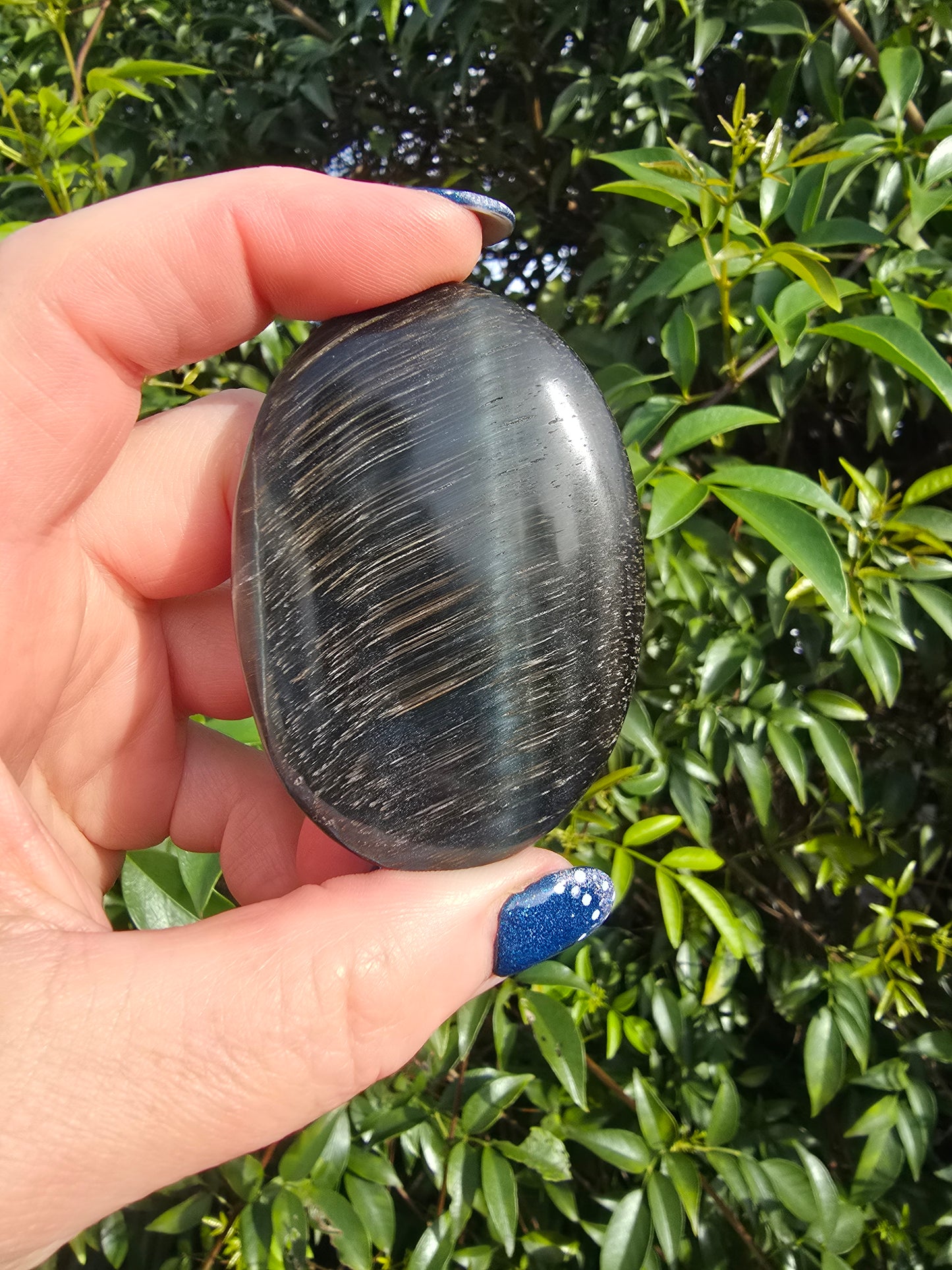 Blue Tigers Eye Palm Stone C