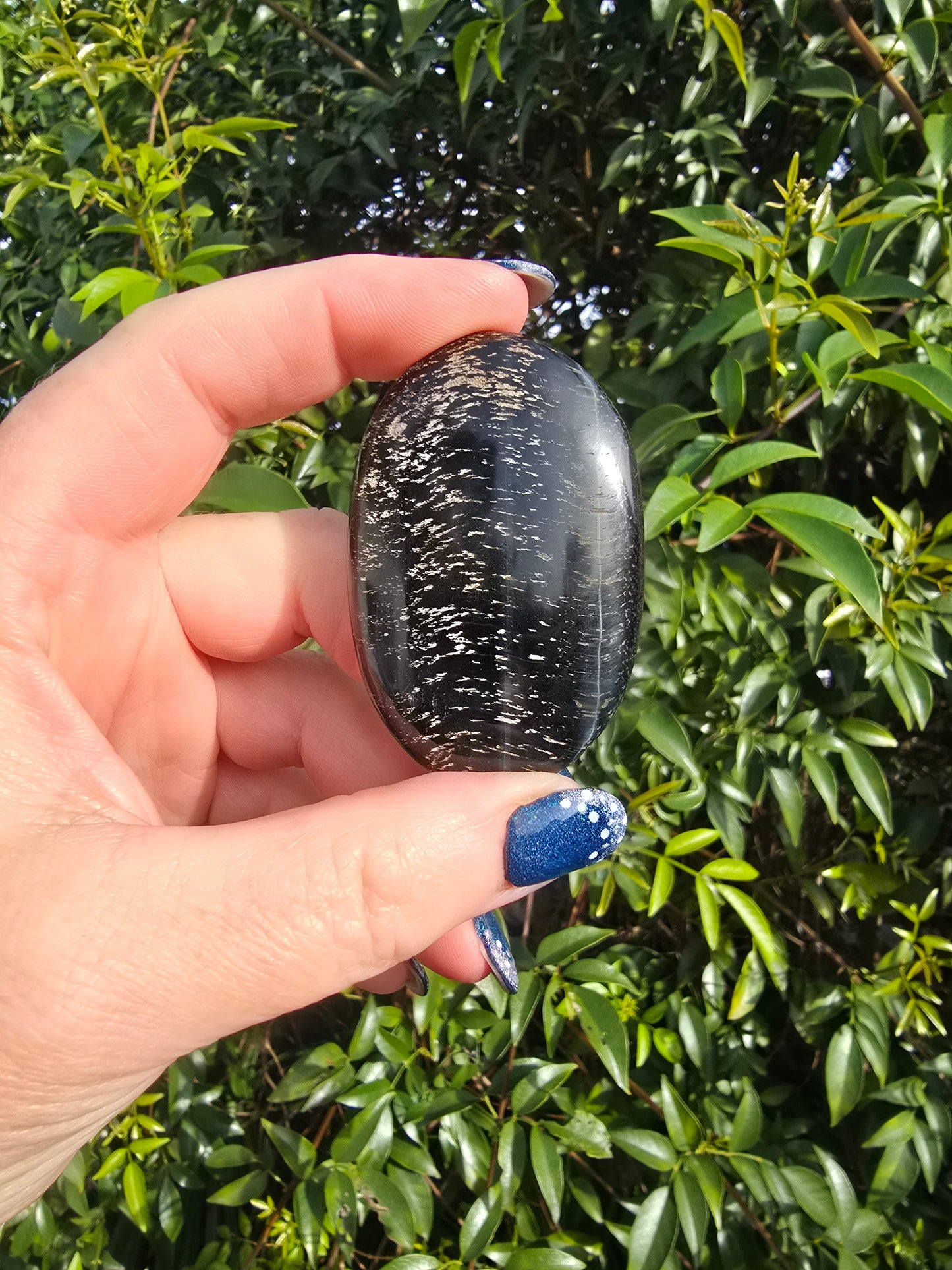 Blue Tigers Eye Palm Stone D
