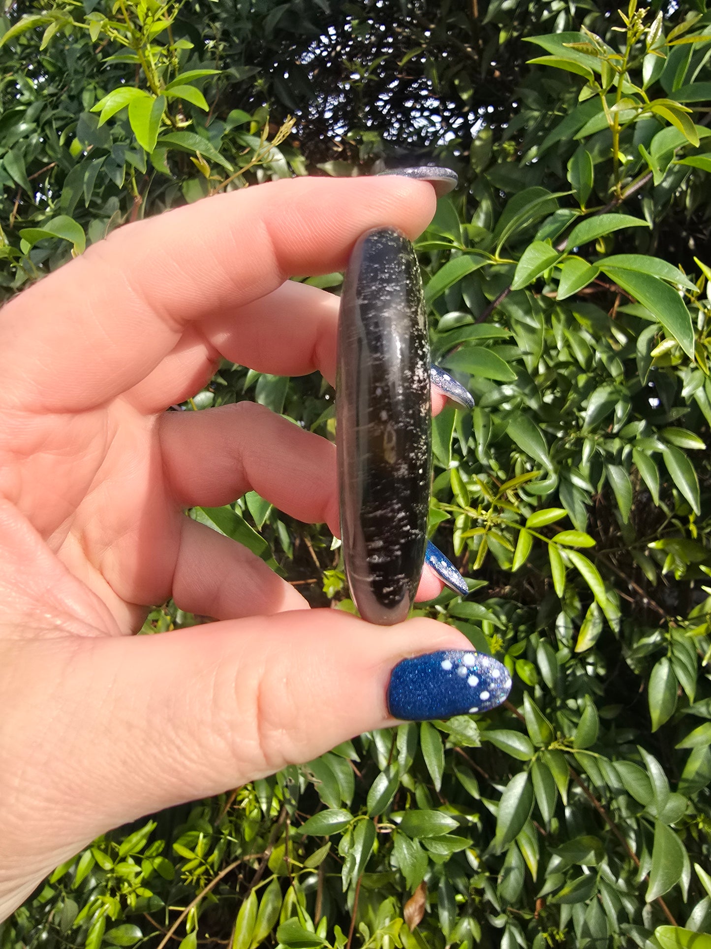 Blue Tigers Eye Palm Stone D