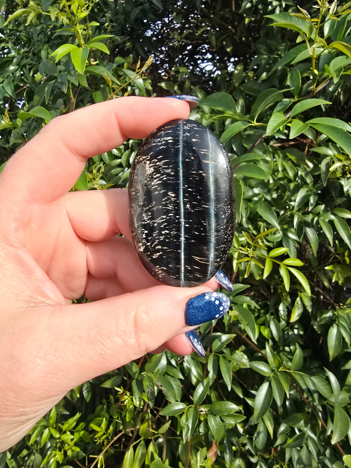 Blue Tigers Eye Palm Stone E
