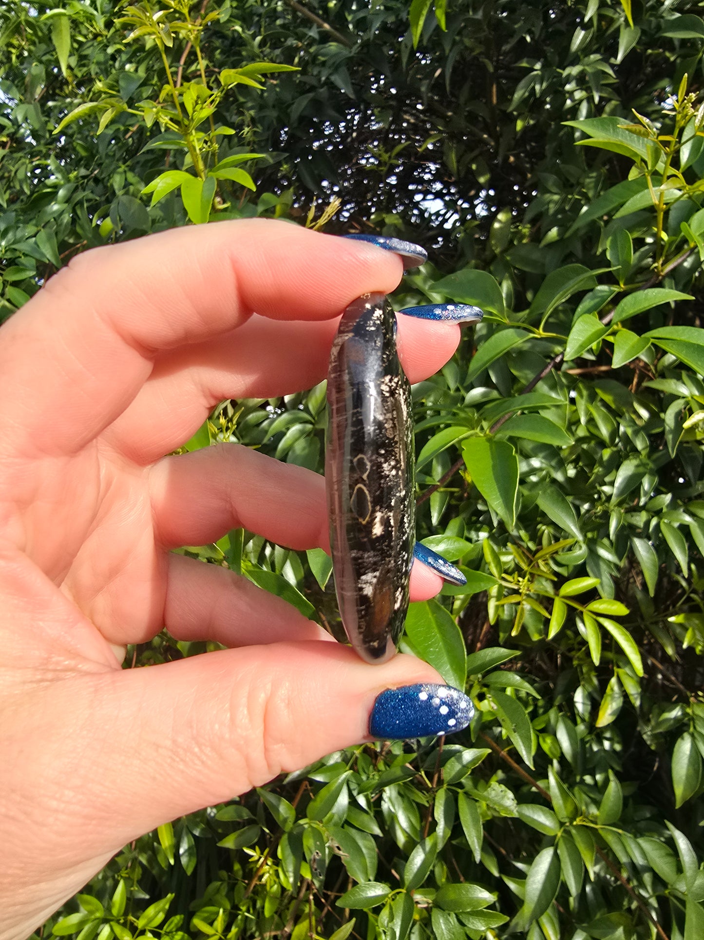 Blue Tigers Eye Palm Stone E