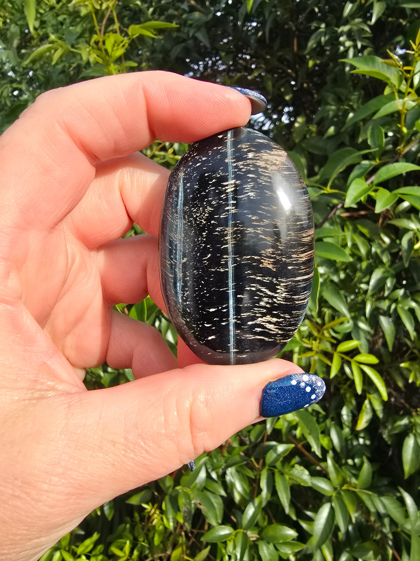 Blue Tigers Eye Palm Stone E