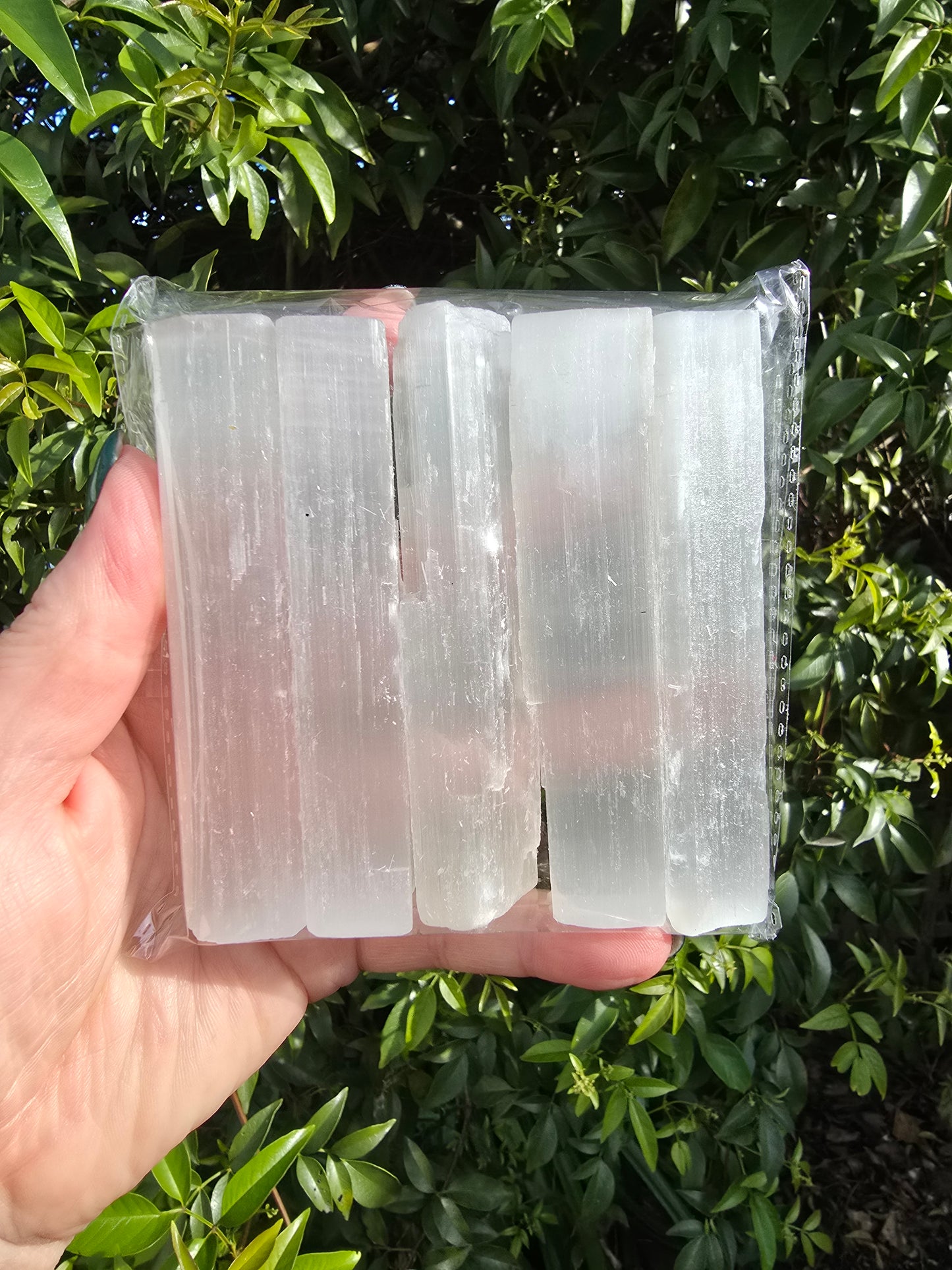 Selenite Rods Large Bulk Pack of 5 Rough Crystals Valued at $25