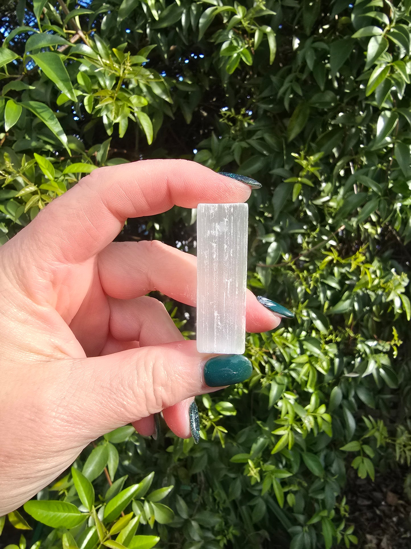Selenite Rods Small Bulk Pack of 10 Rough Crystals Valued at $30