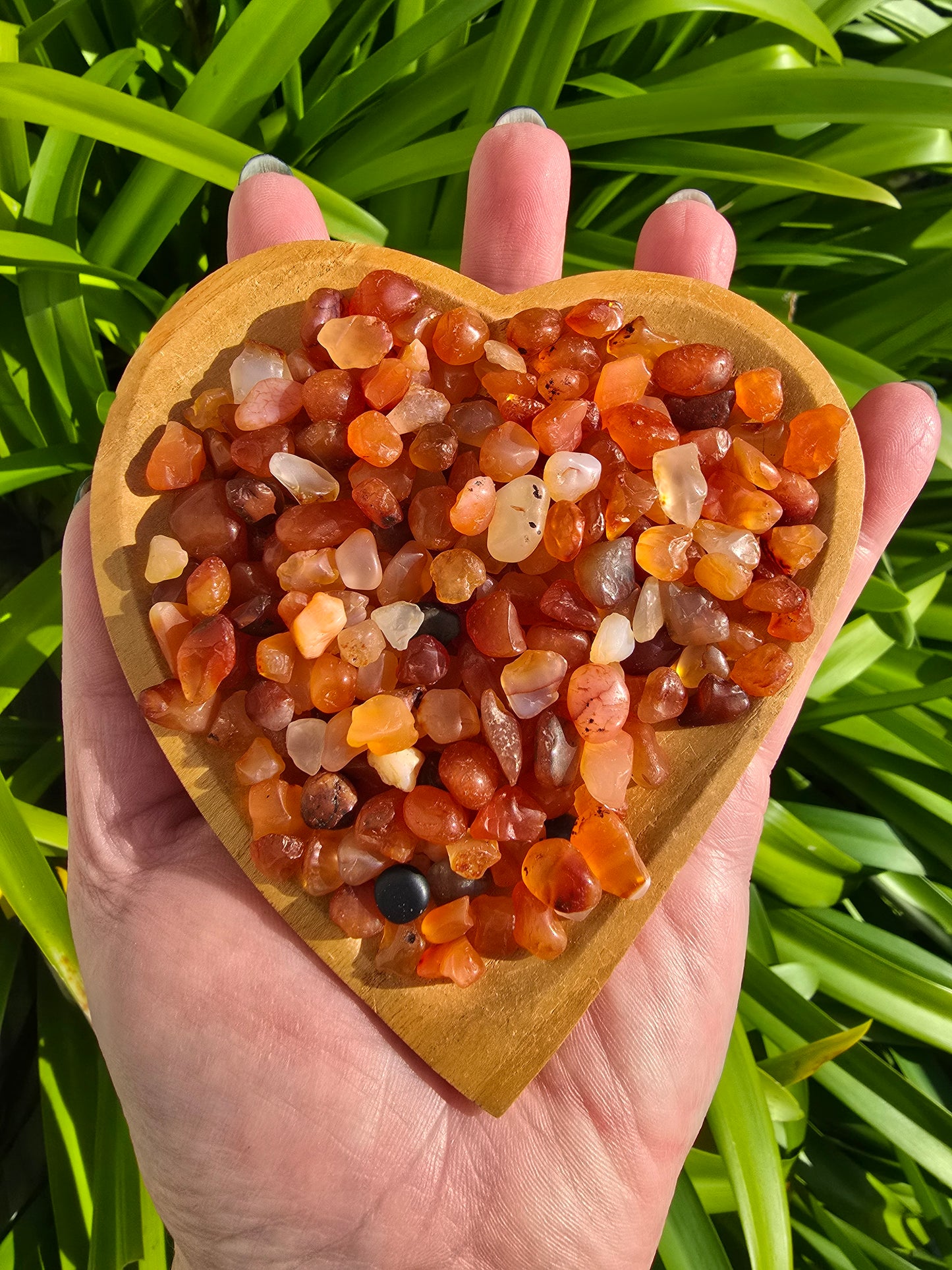Carnelian Crystal Chip 100 gms bag
