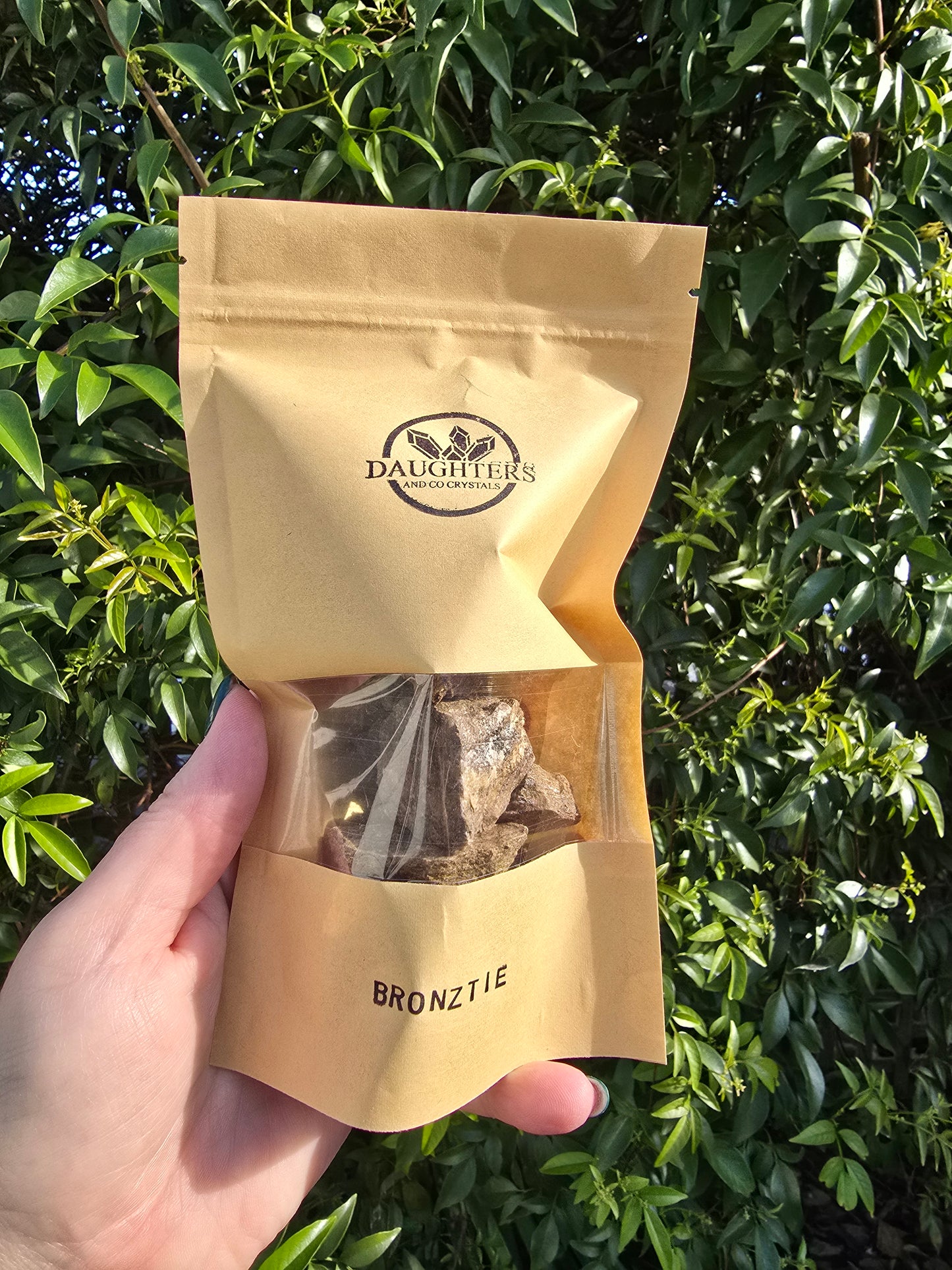 Bronzite Bulk Pack of 10 Rough Crystals Valued at $30