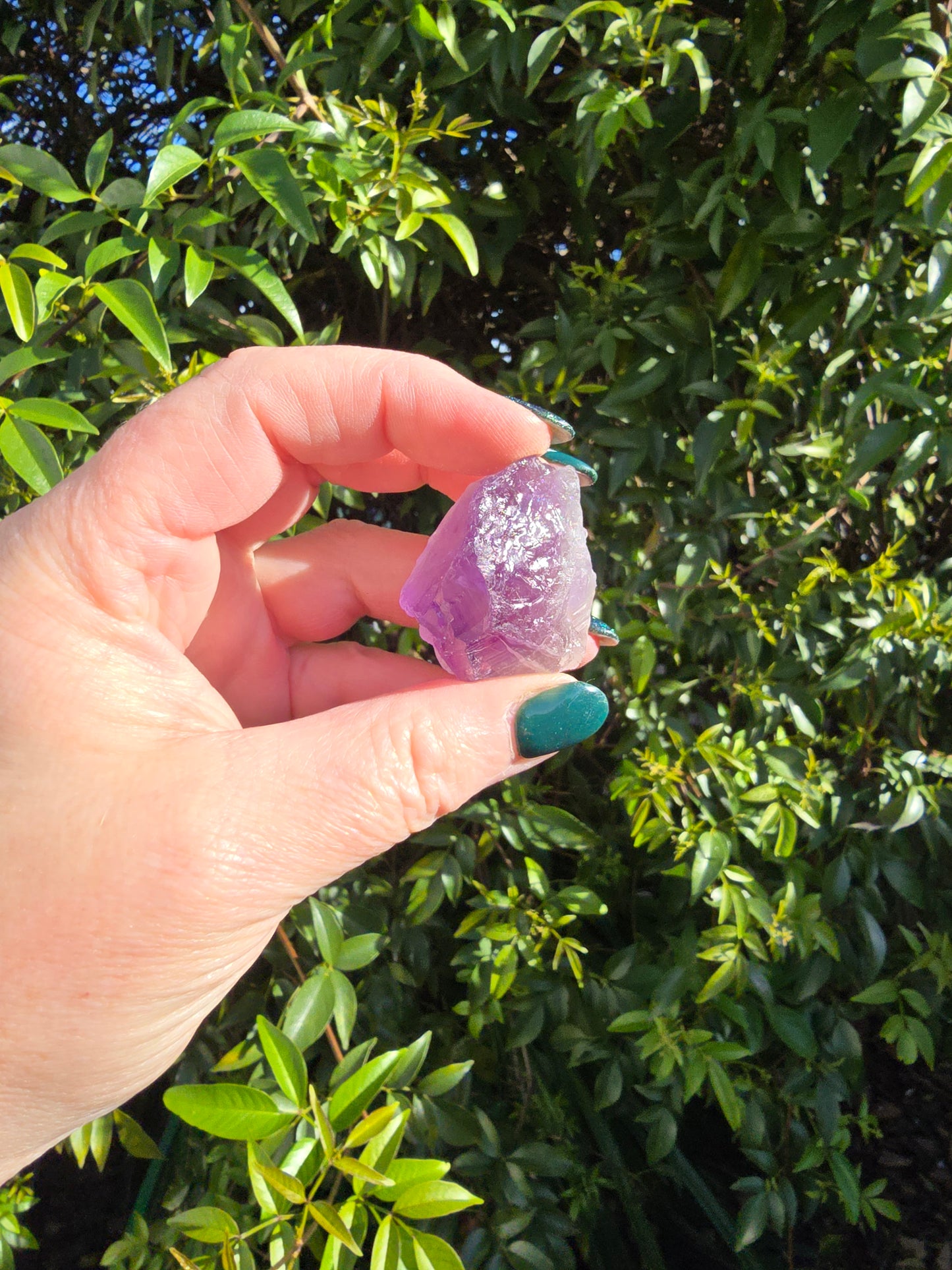 Amethyst Bulk Pack of 10 Rough Crystals Valued at $40