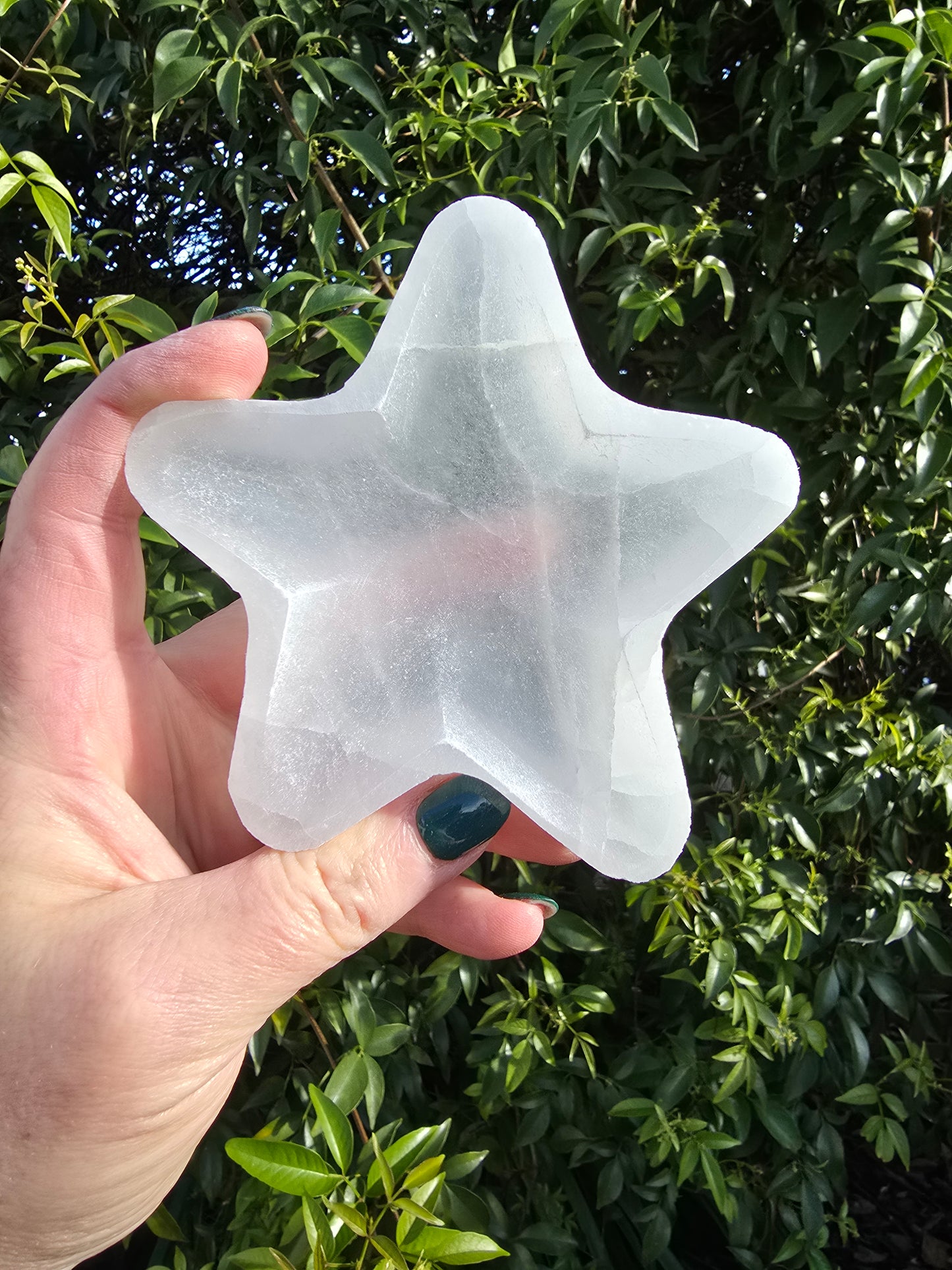Selenite Star Bowl