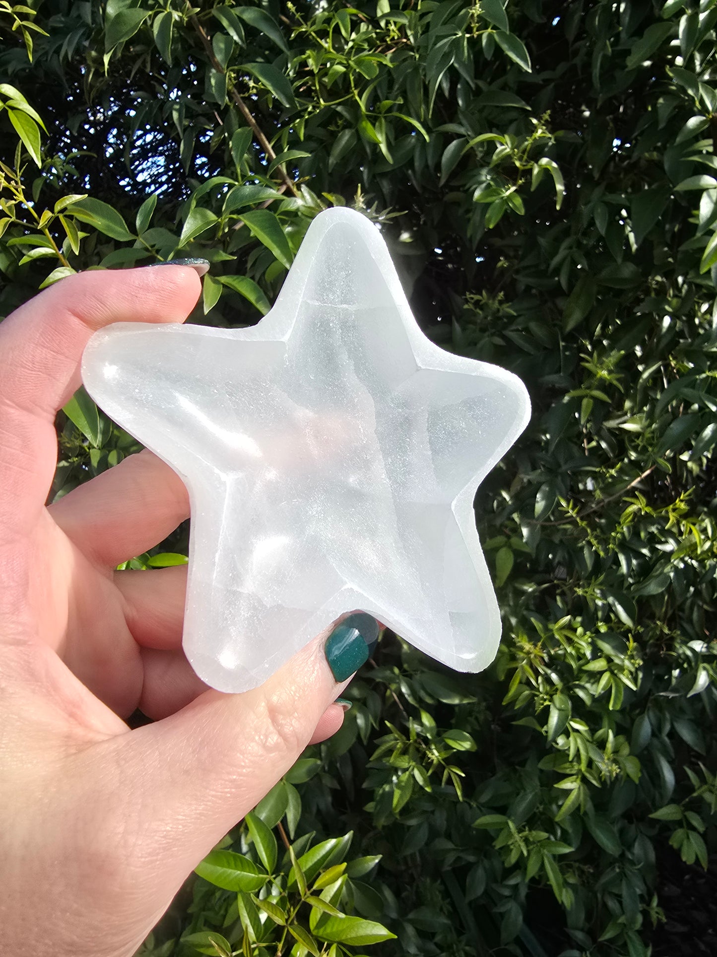 Selenite Star Bowl