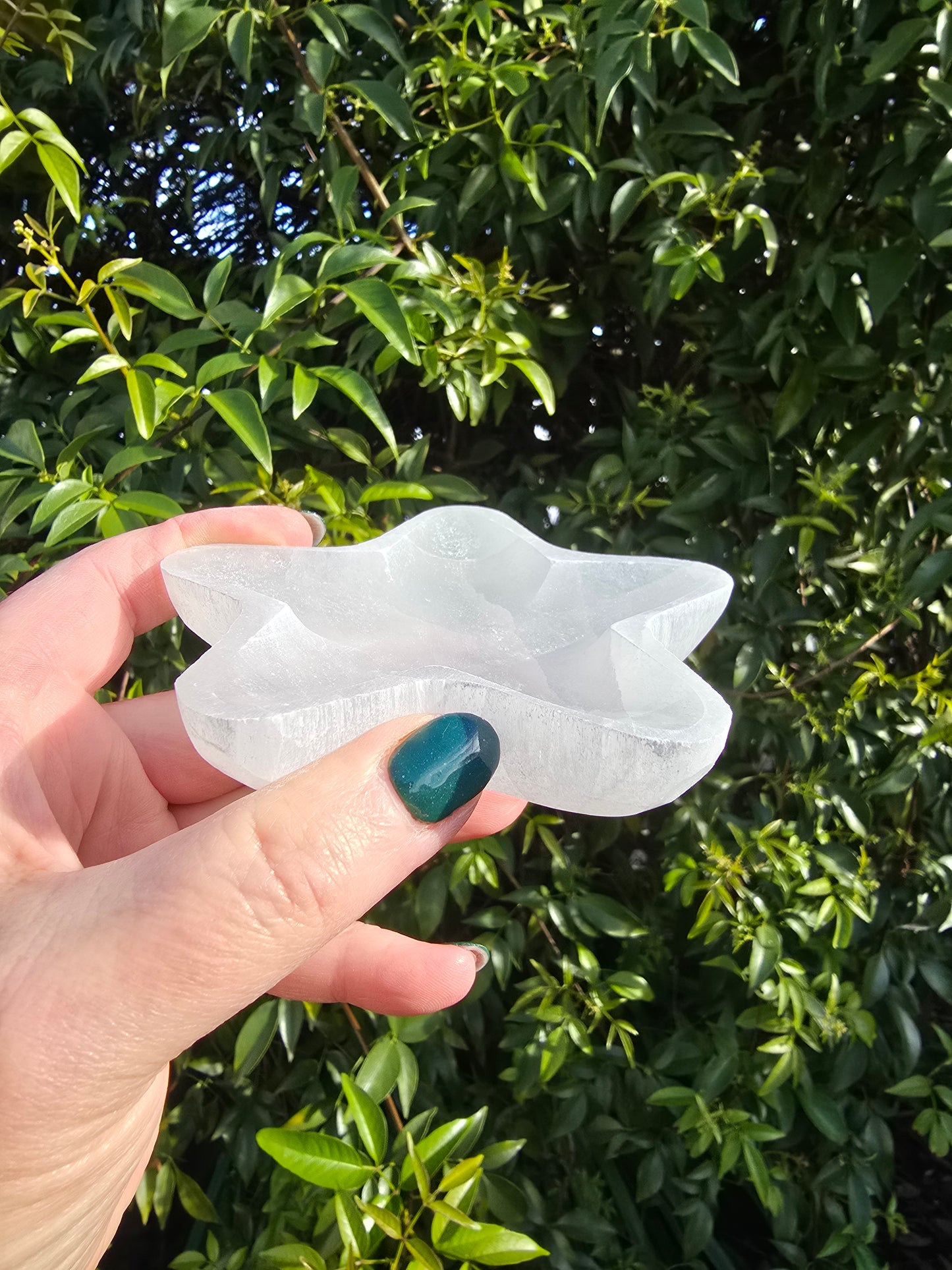 Selenite Star Bowl