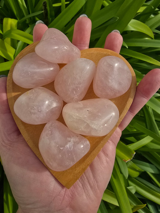 Rose Quartz Tumbled Stone Medium