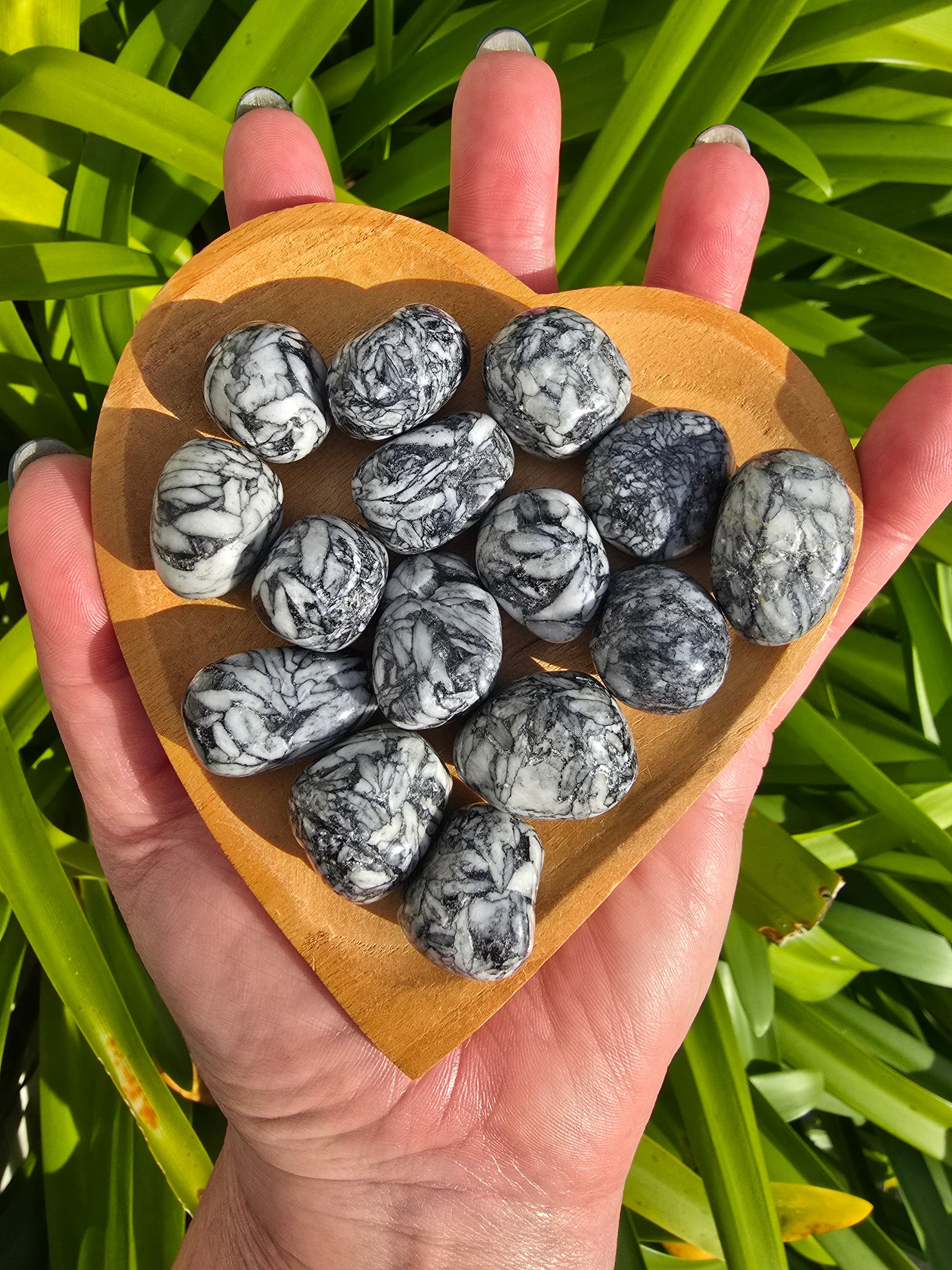 Pinolith Tumbled Stone Small – Daughters And Co Crystals