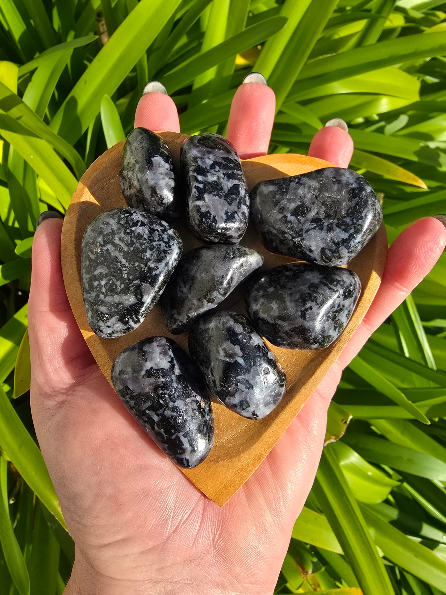 Indigo Gabbro Tumbled Stone Medium