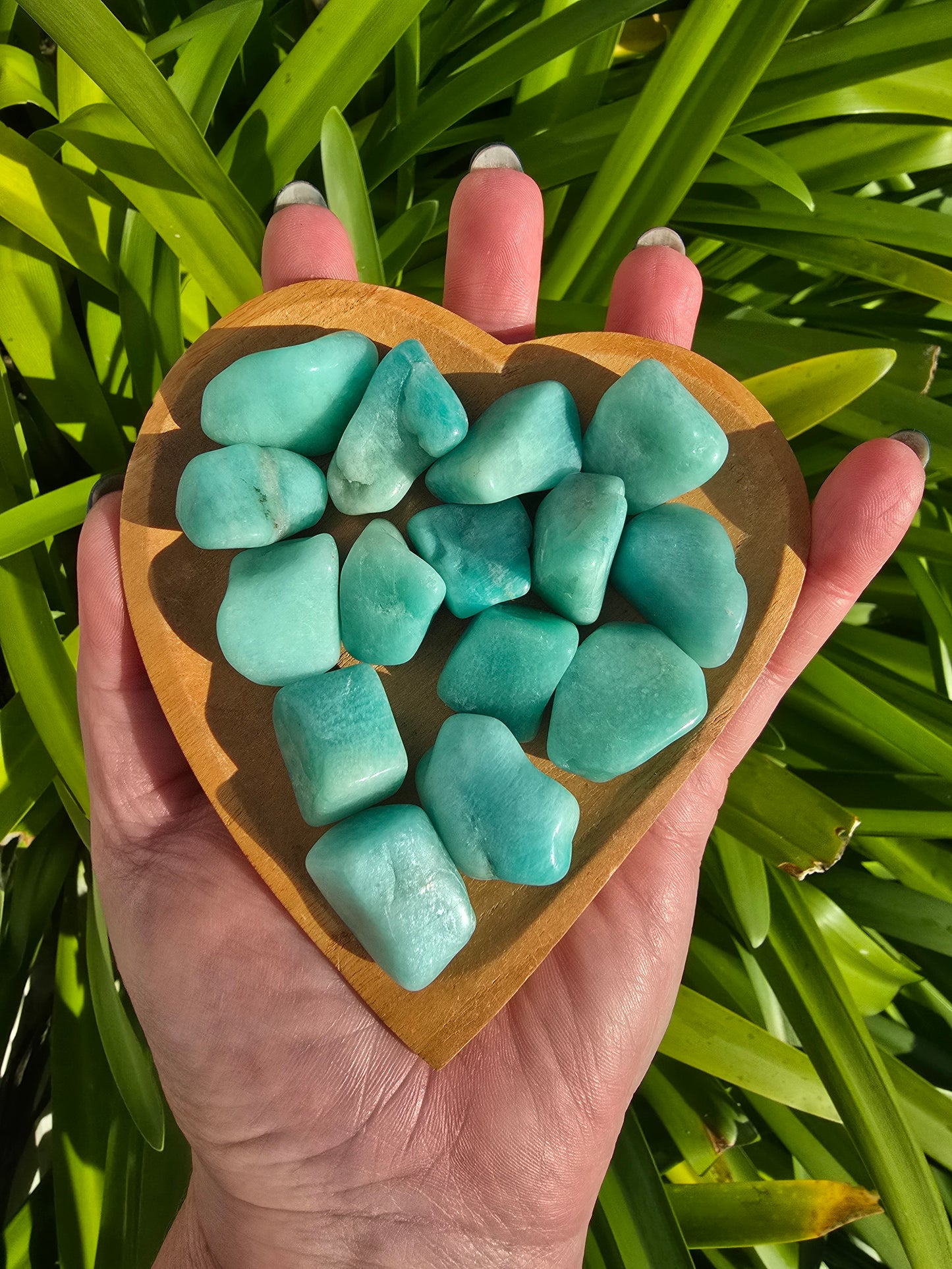 Amazonite Tumbled Stone Small