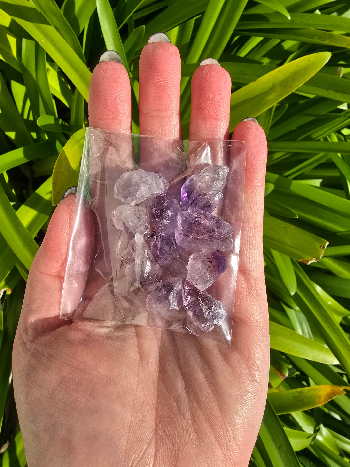 Amethyst Rough Points Small 10 Pack Valued at $20
