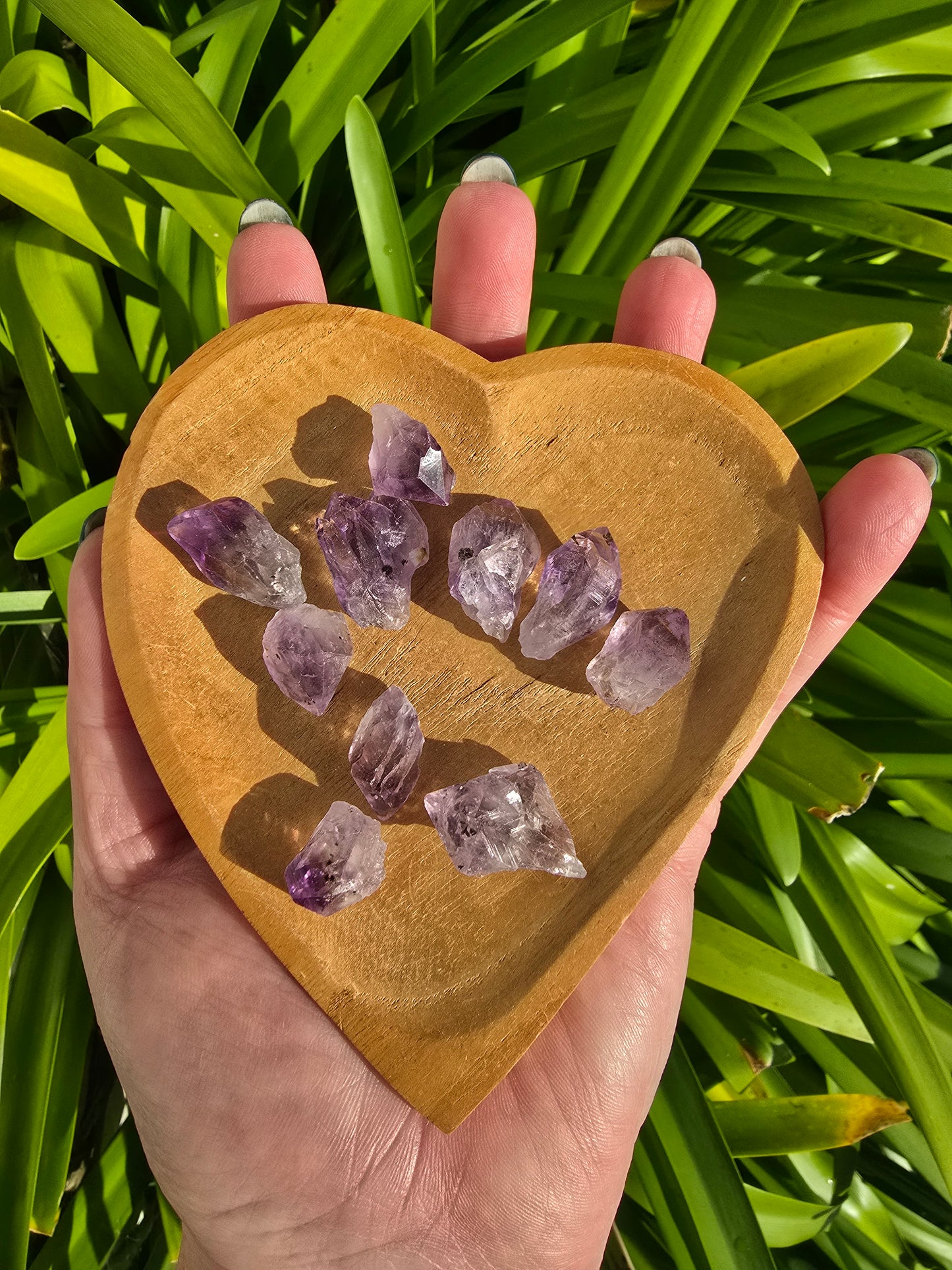 Amethyst Rough Points Small 10 Pack Valued at $20