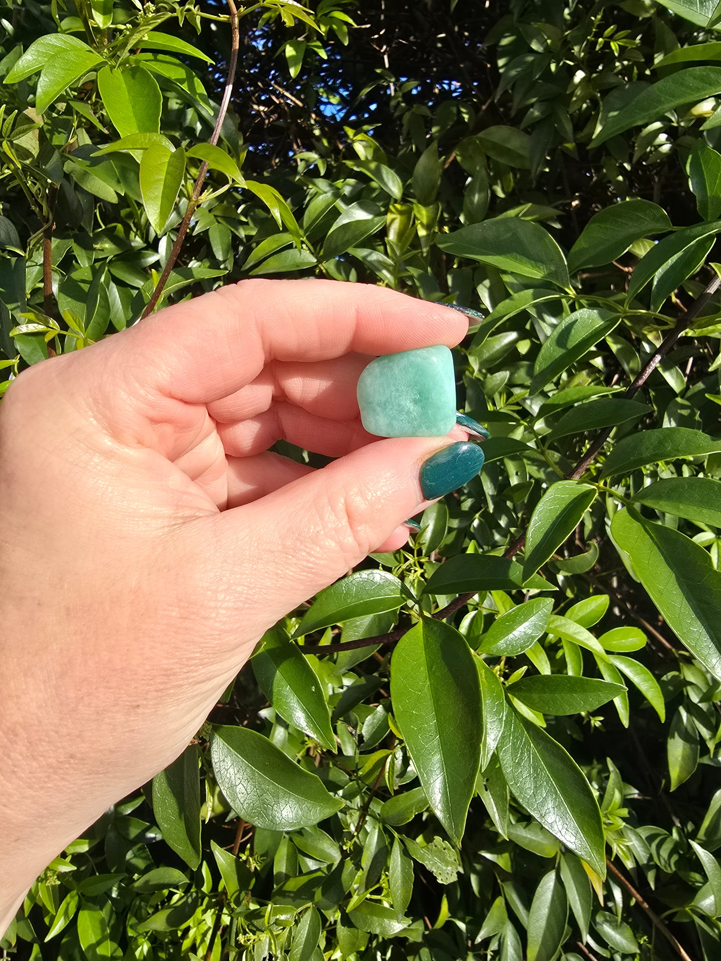Amazonite Tumbled Stone Small