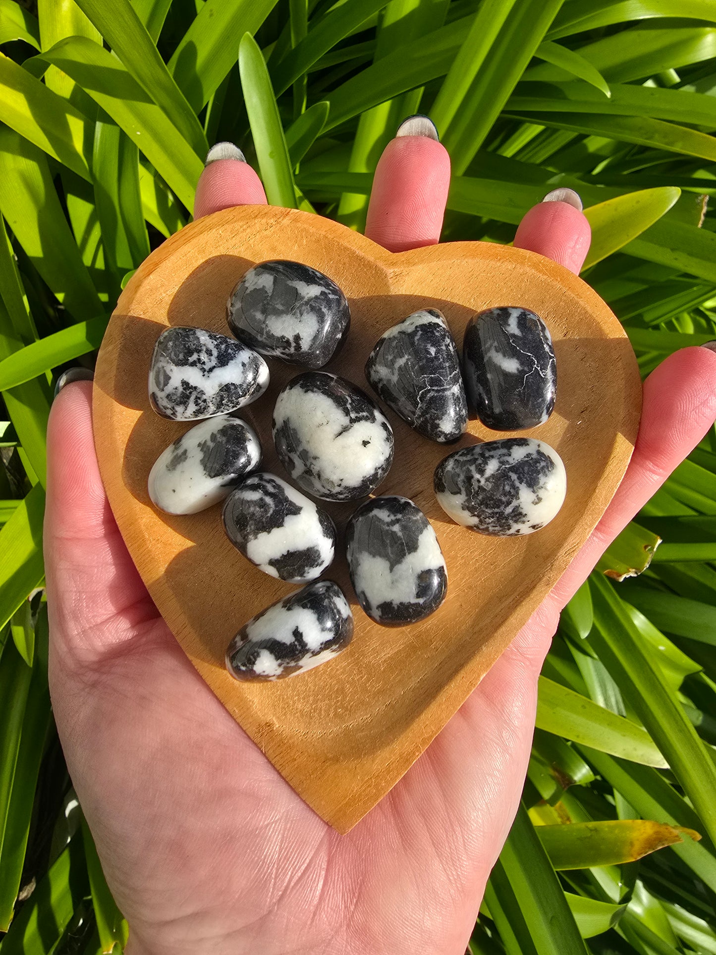 Black Zebra Jasper Tumbled Stone Small