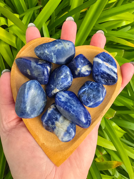 Sodalite Tumbled Stone Medium