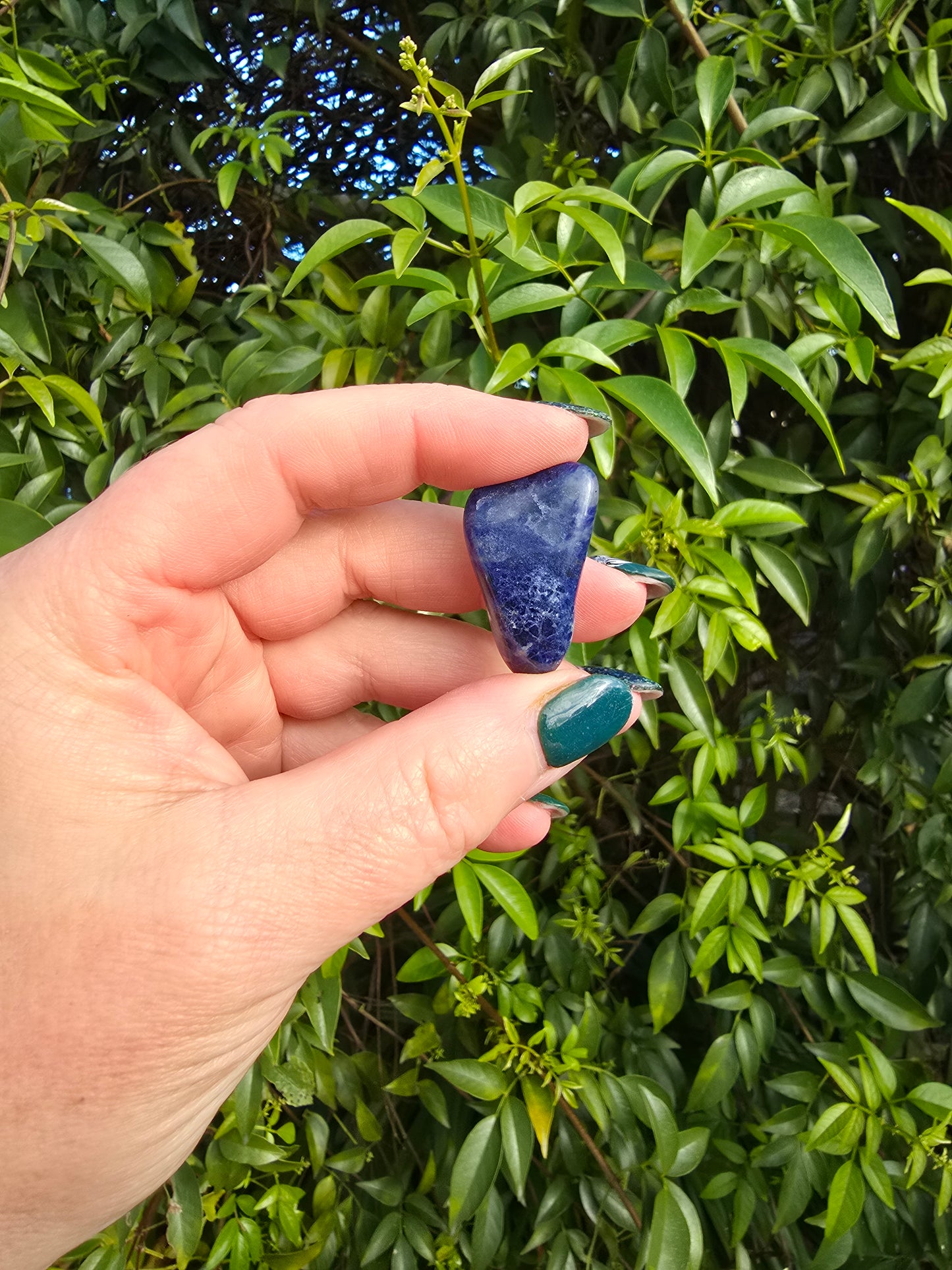 Sodalite Tumbled Stone Small