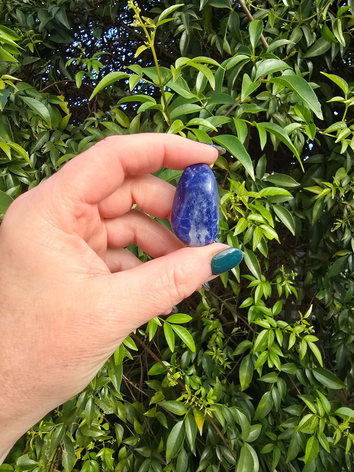Sodalite Tumbled Stone Medium