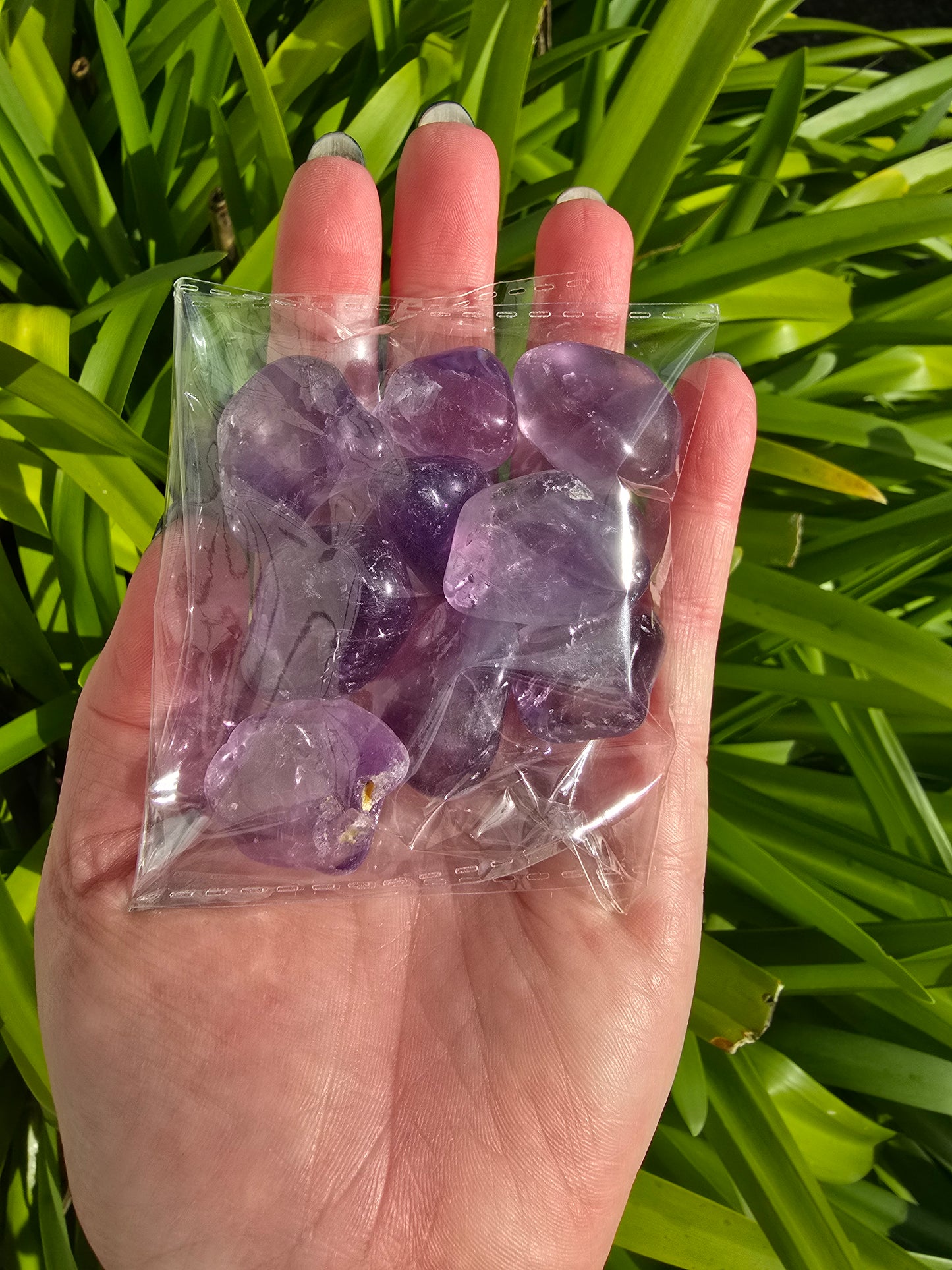 Amethyst Tumbled Stones 10 pack valued at $30