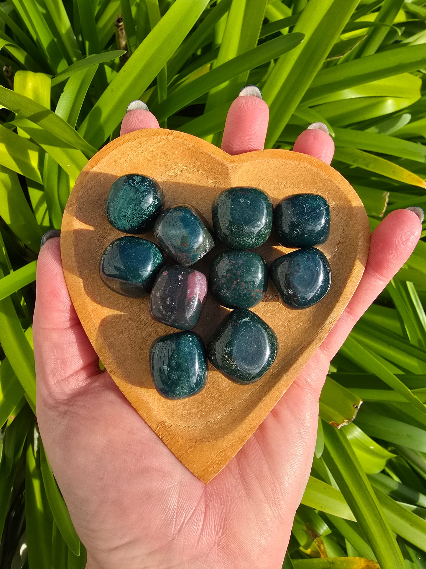 Bloodstone Tumbled Stones 10 pack valued at $40