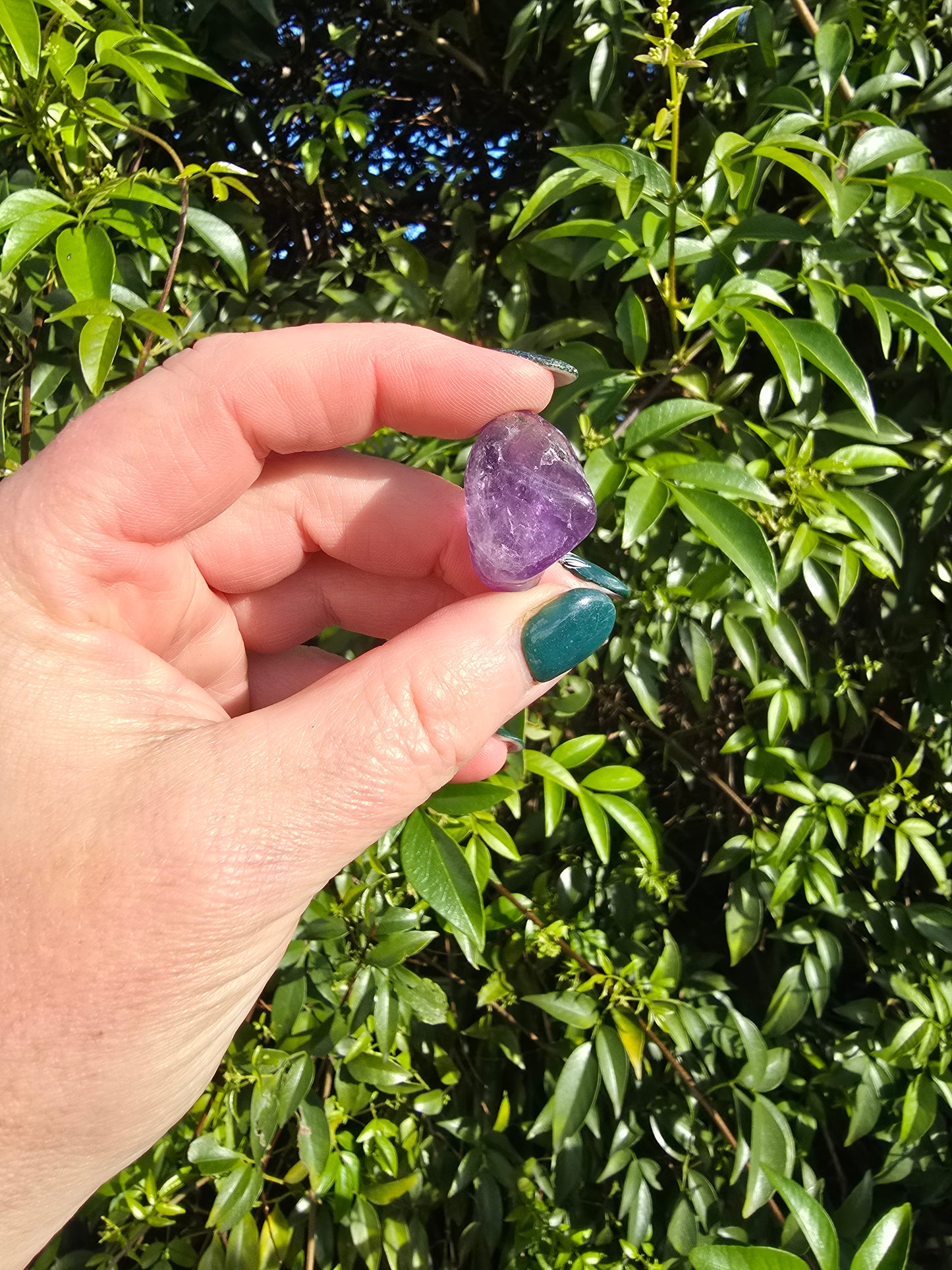 Amethyst Tumbled Stones 10 pack valued at $30