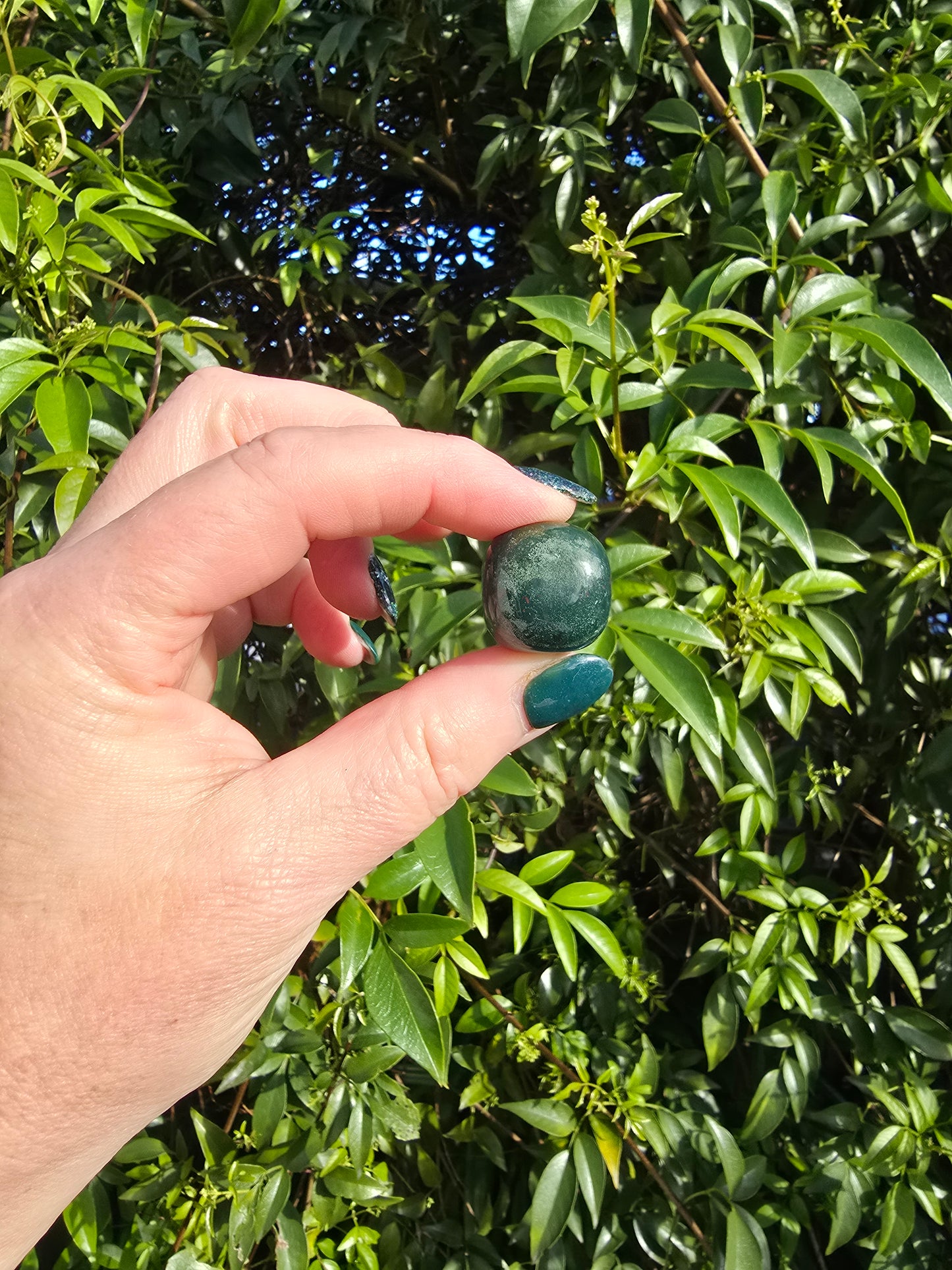 Bloodstone Tumbled Stones 10 pack valued at $40