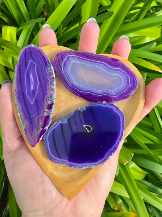 Agate Slice | Purple Medium