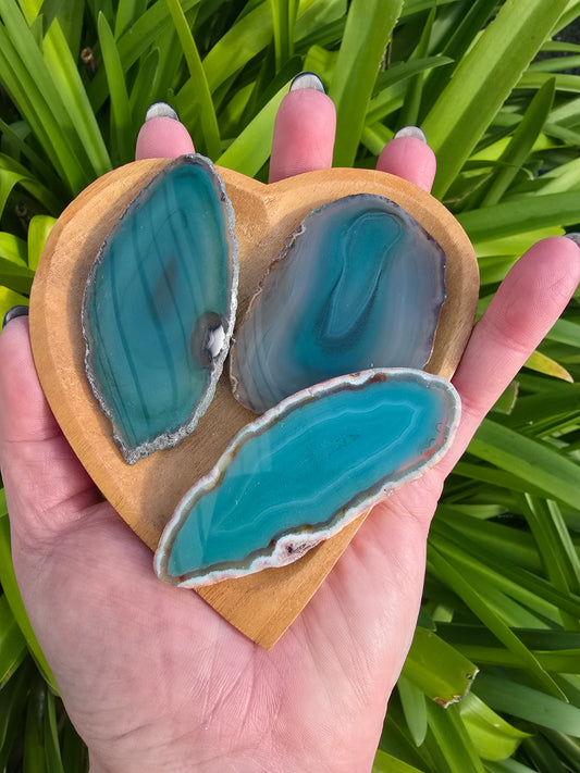 Agate Slice | Green Medium