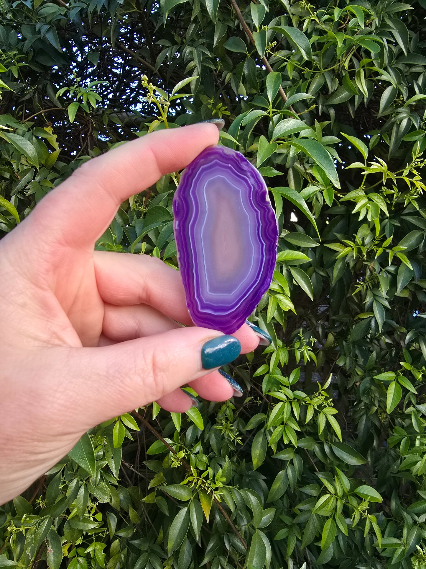 Agate Slice | Purple Medium