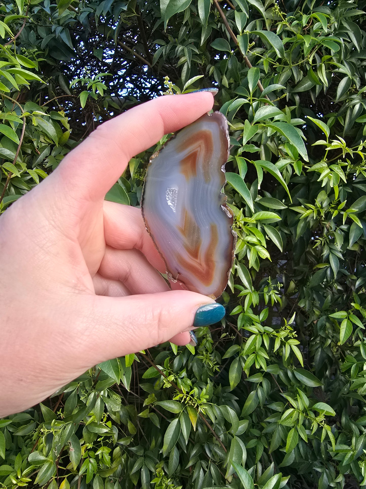 Agate Slice | Brown Medium