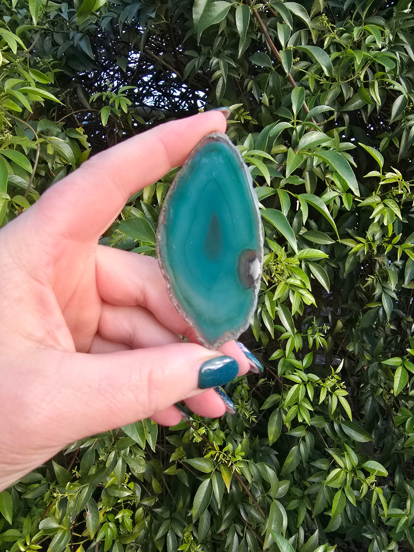 Agate Slice | Green Medium