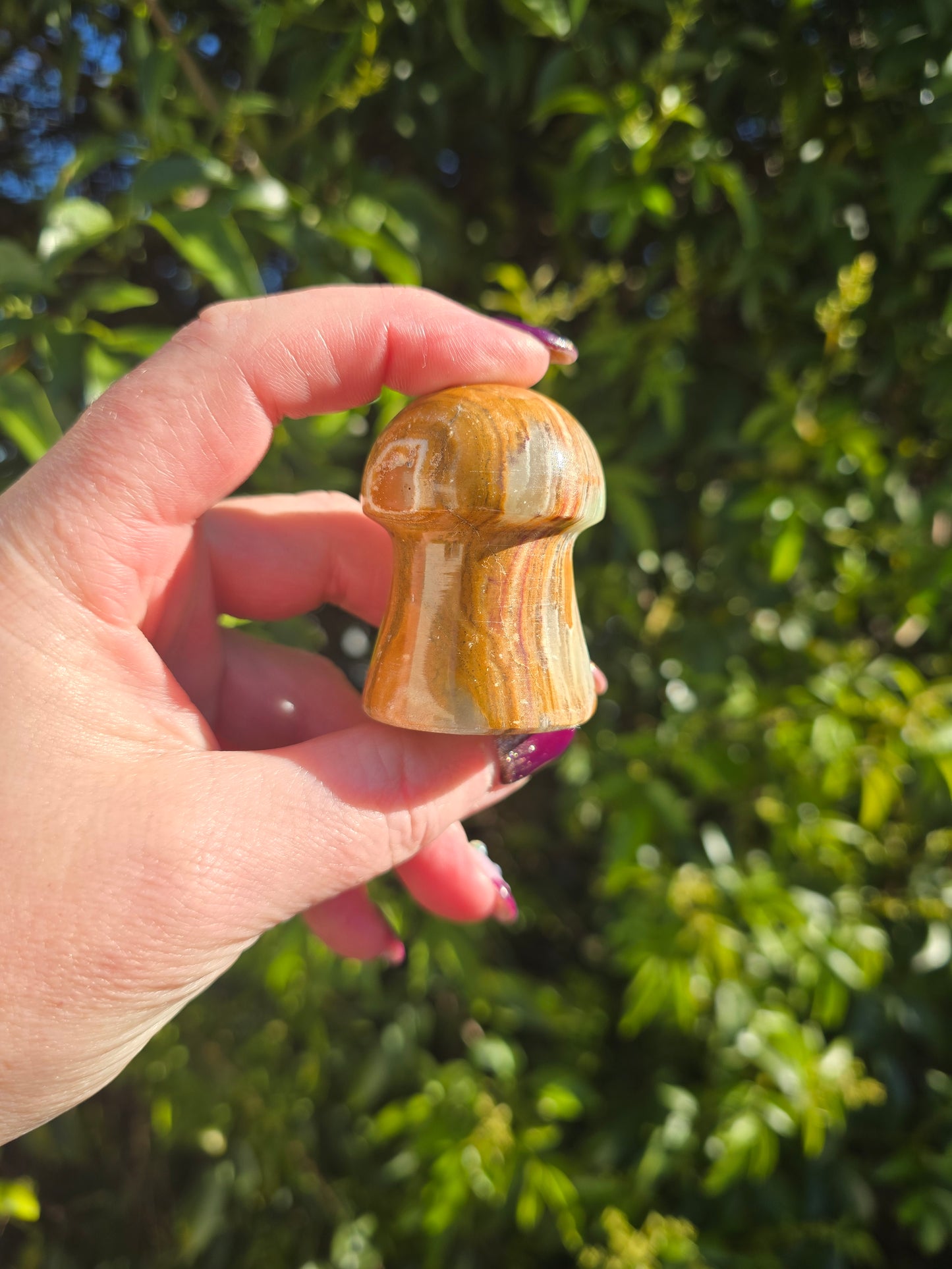 Banded Calcite Mushroom A