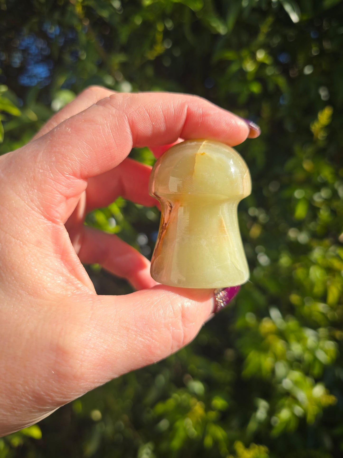 Banded Calcite Mushroom A