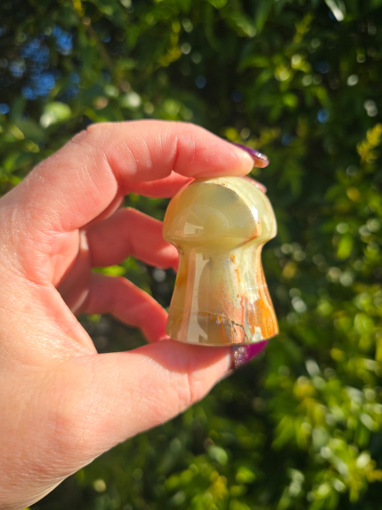 Banded Calcite Mushroom C