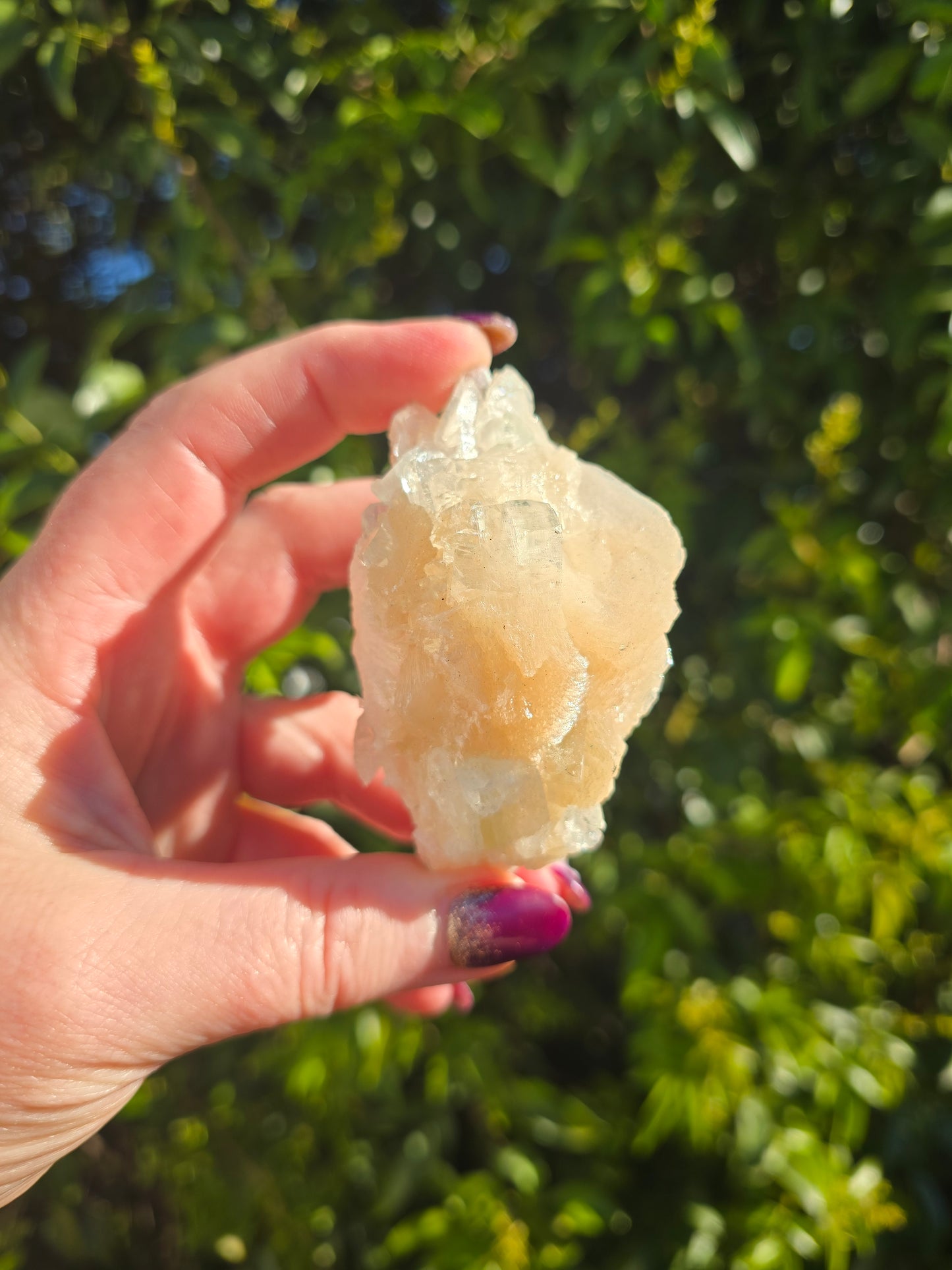 Zeolite Cluster B