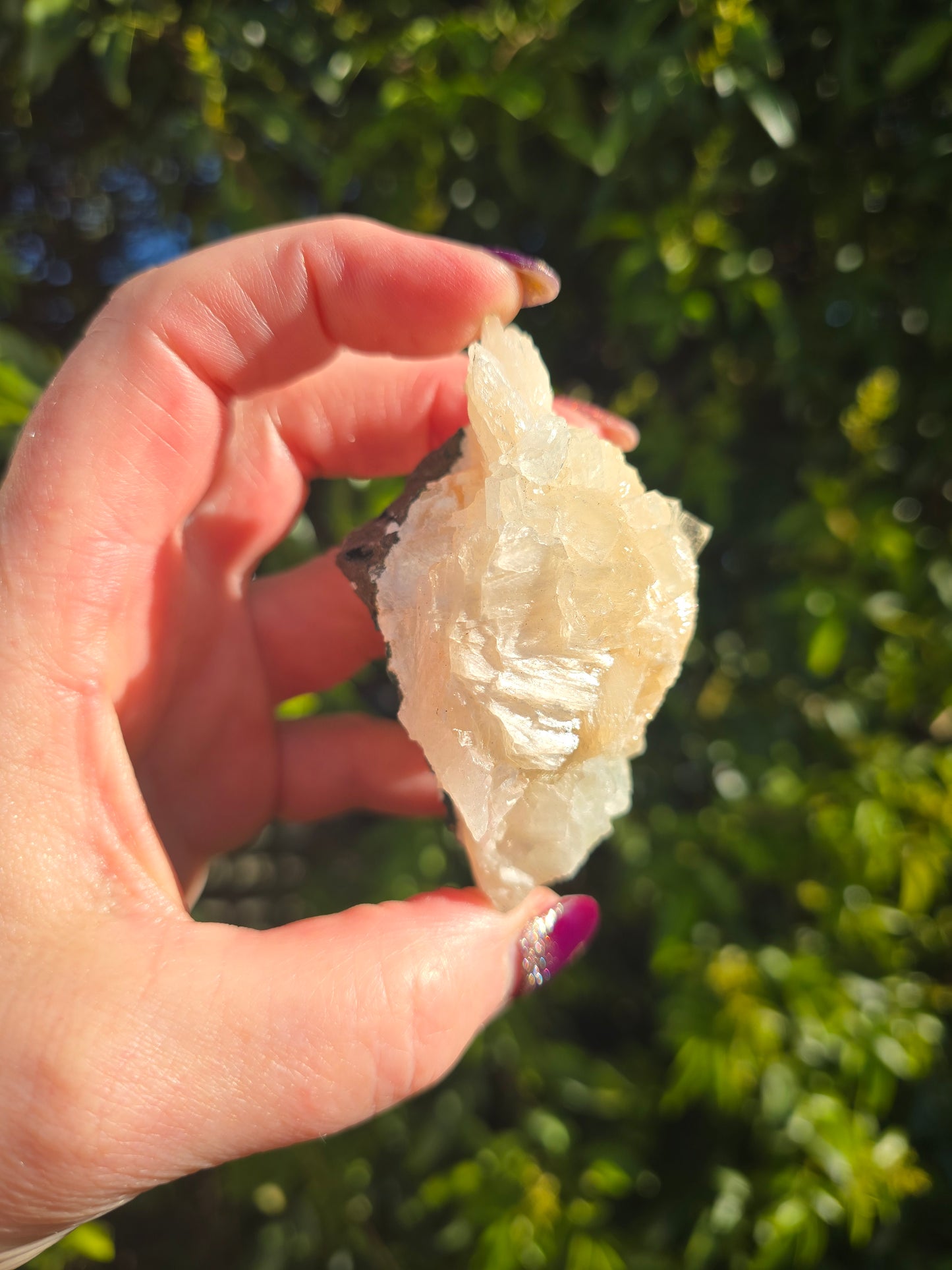 Zeolite Cluster B