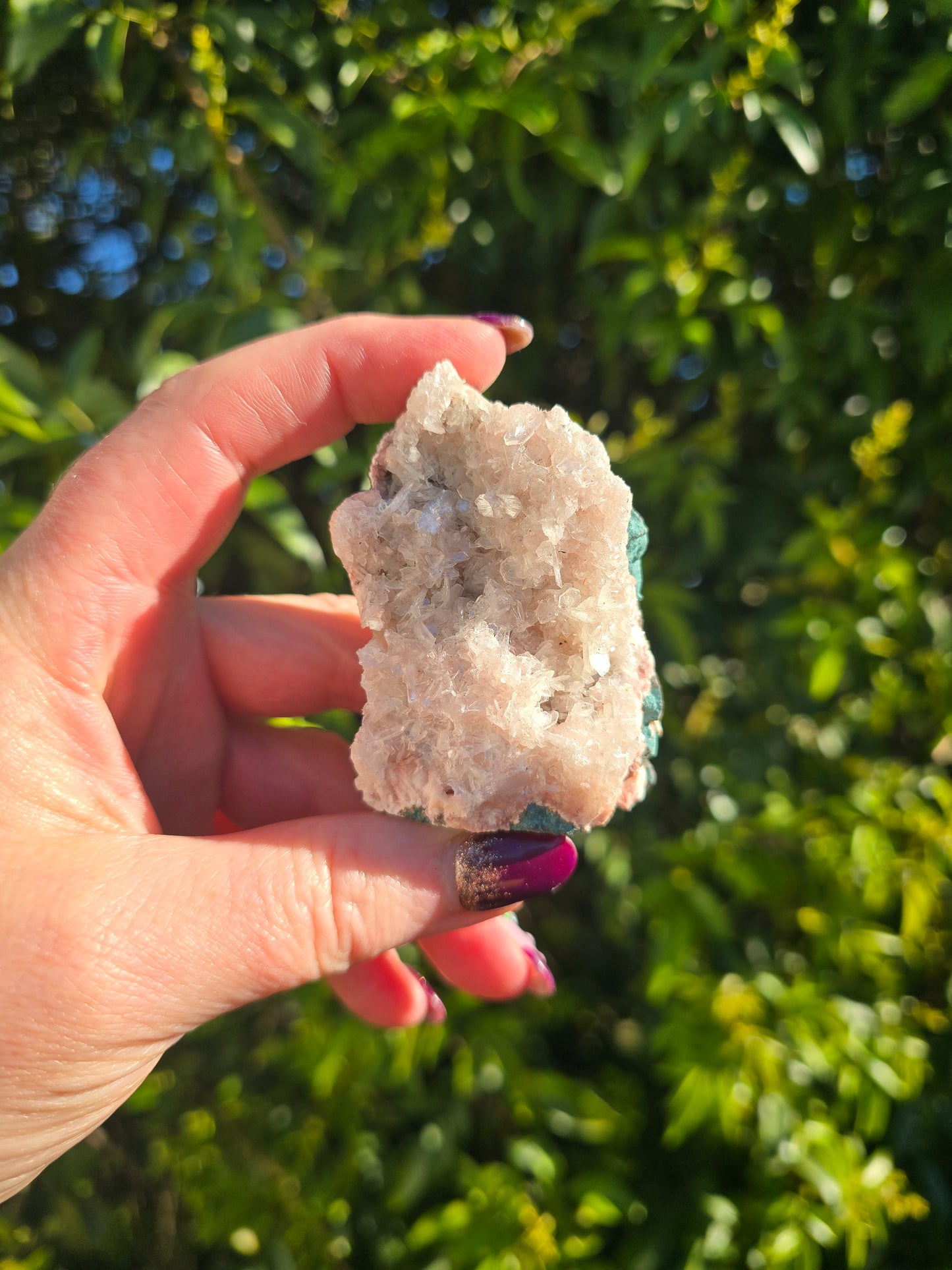 Zeolite Cluster D