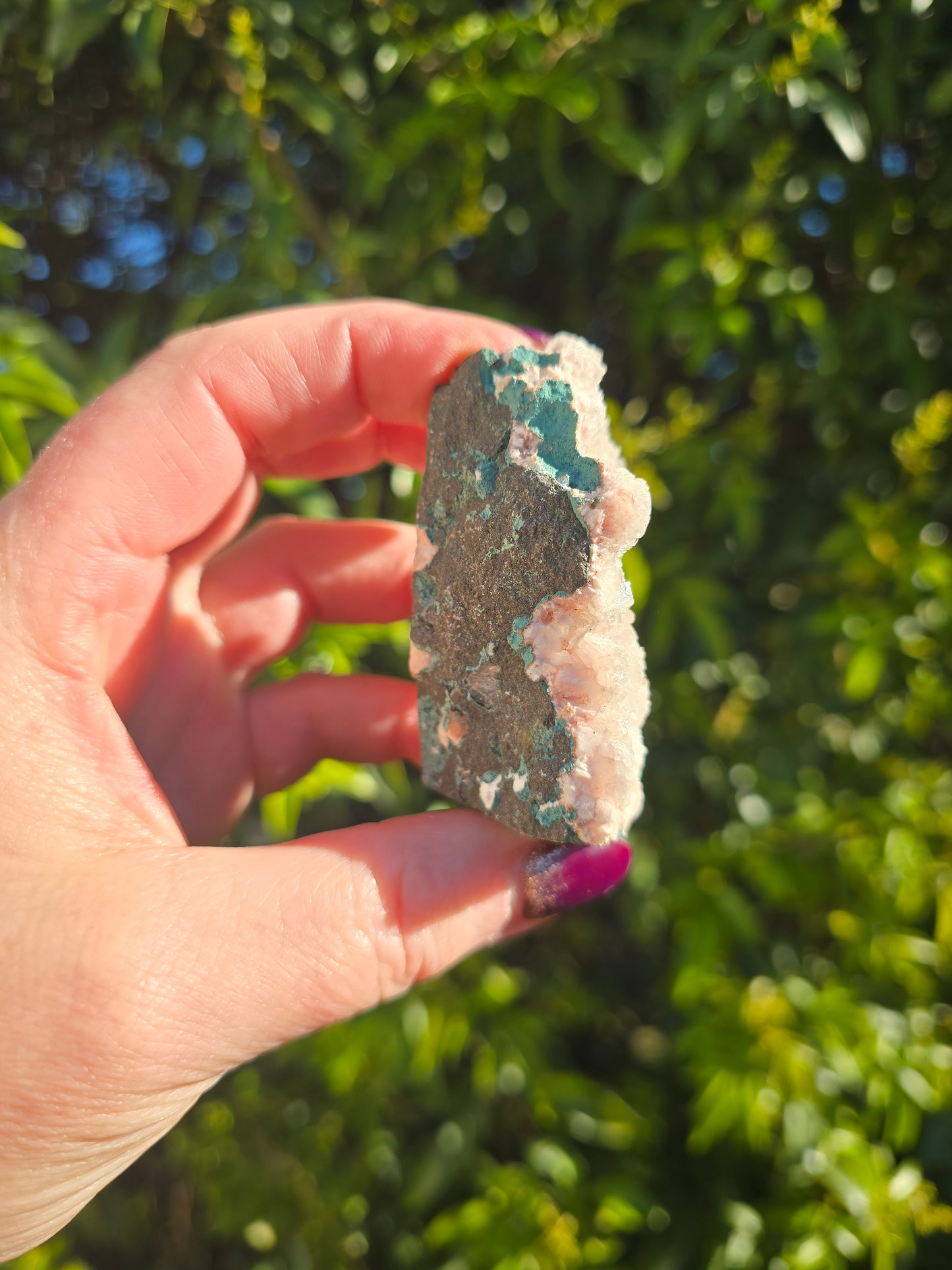 Zeolite Cluster D