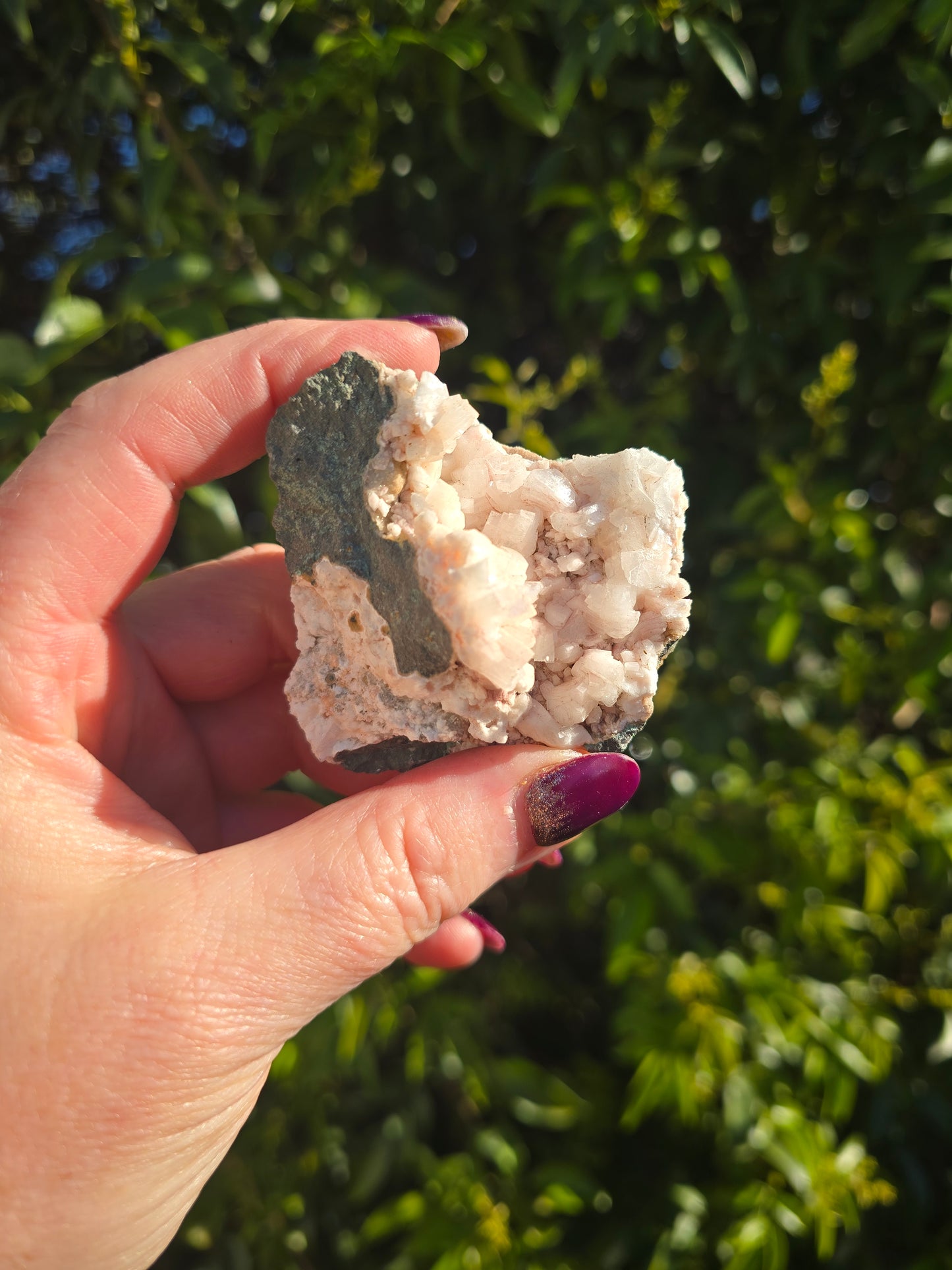 Zeolite Cluster H