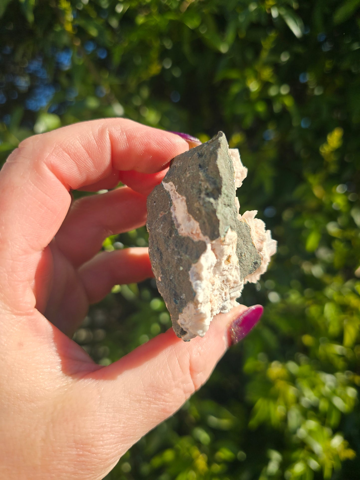 Zeolite Cluster H